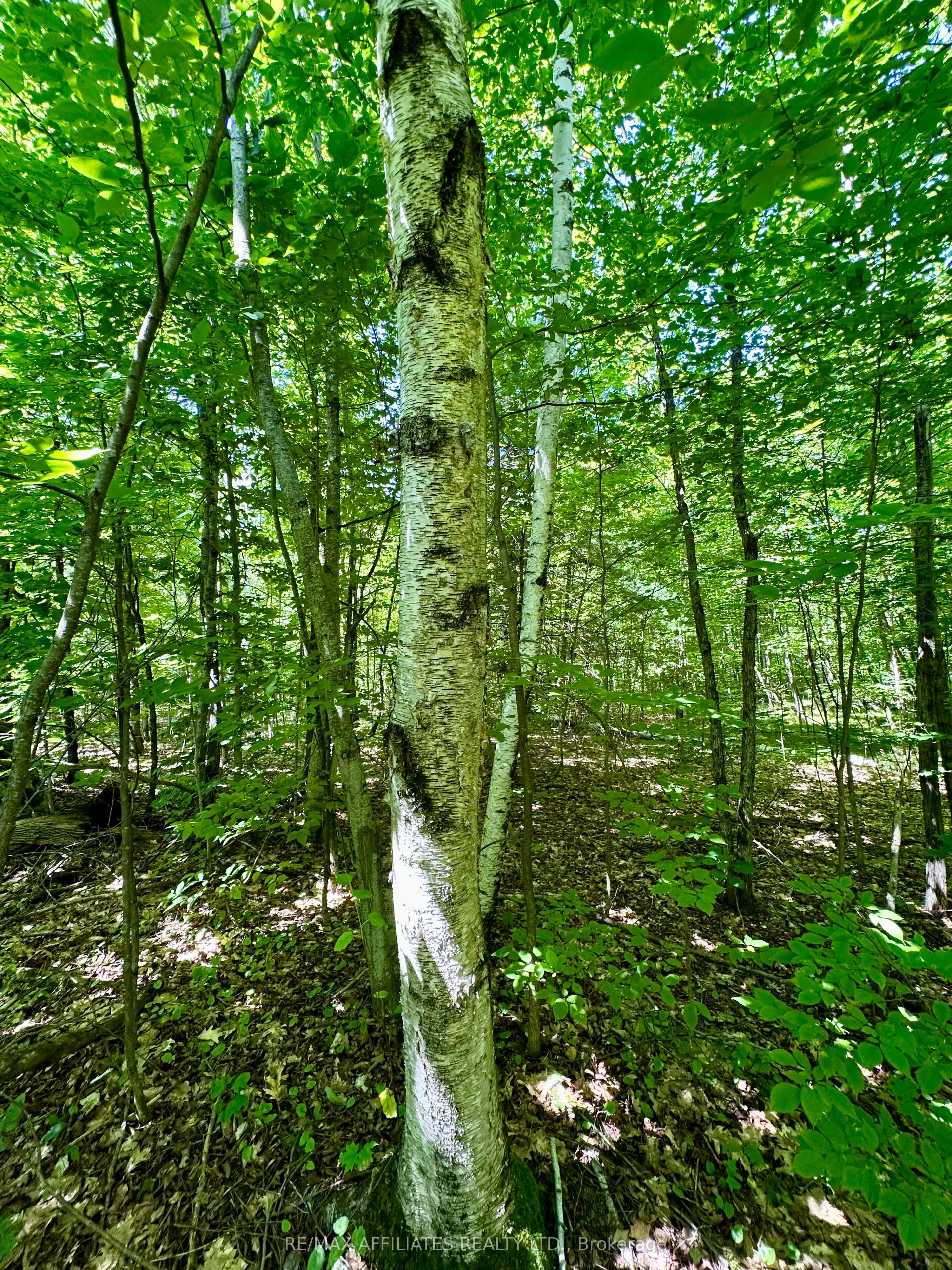 000 KIRK KOVE Road
