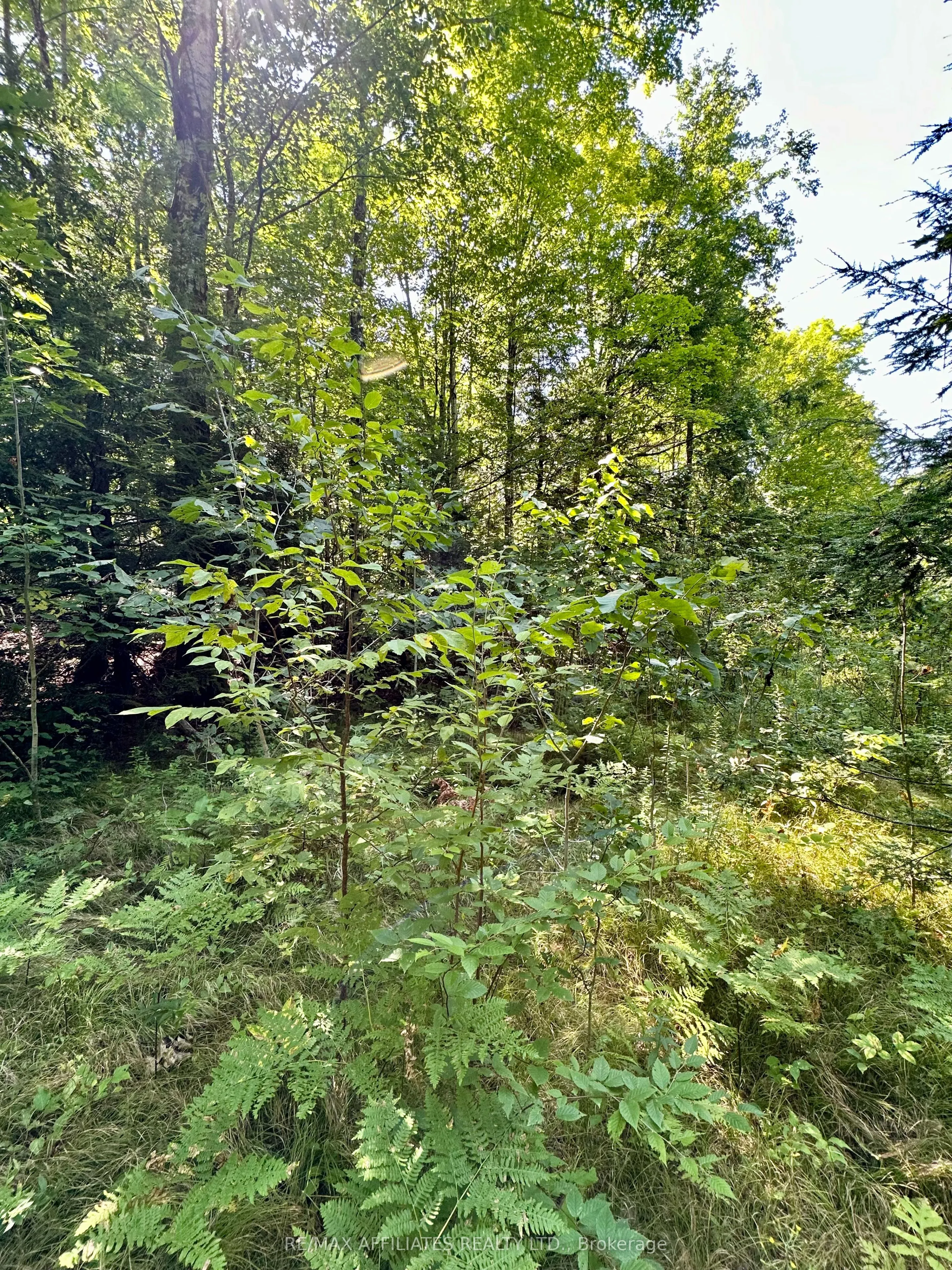 00 KIRK KOVE Road