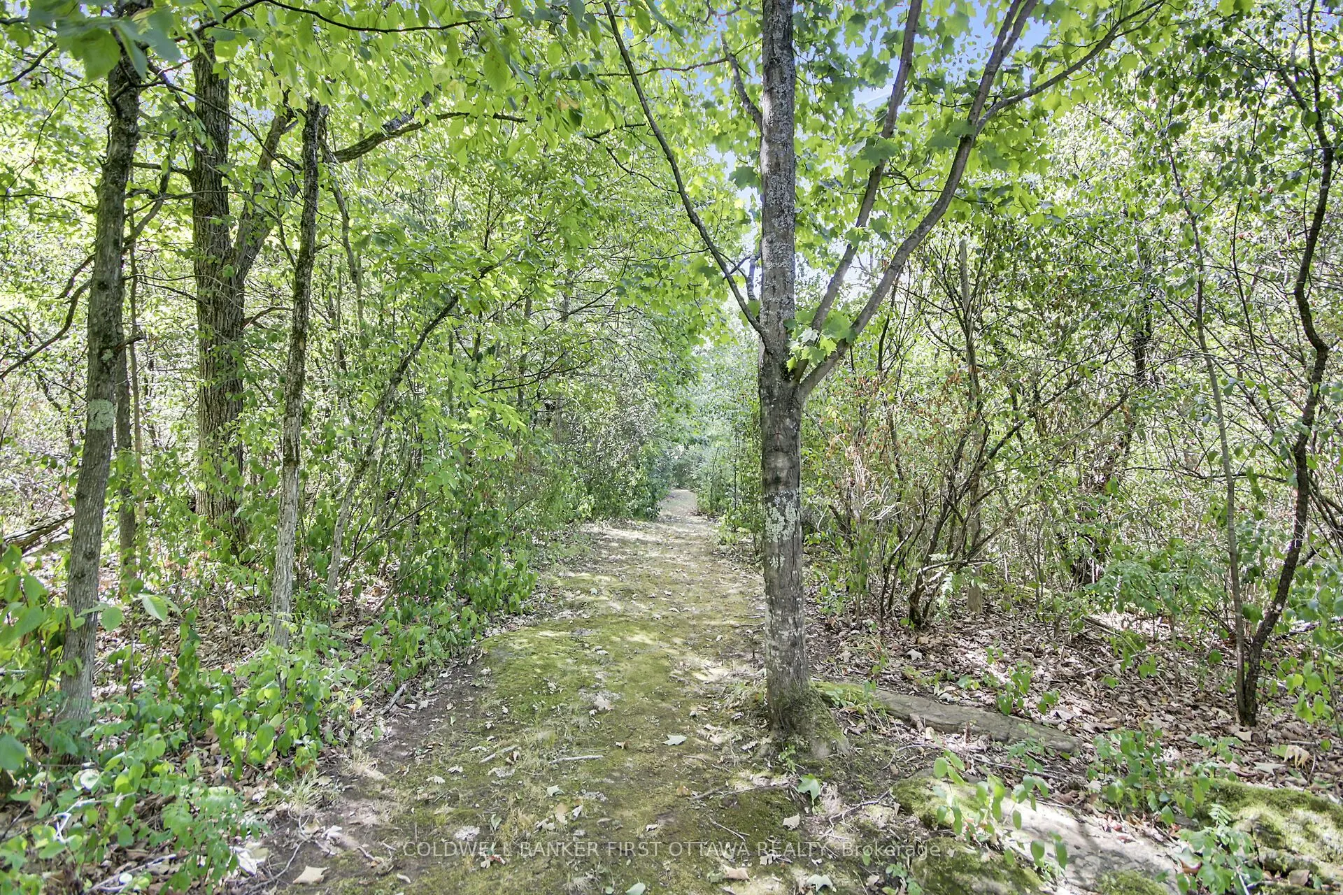230 Pine Ridge Drive