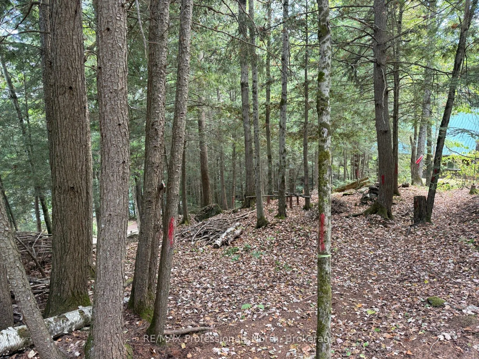 0 Kennisis Lake Road