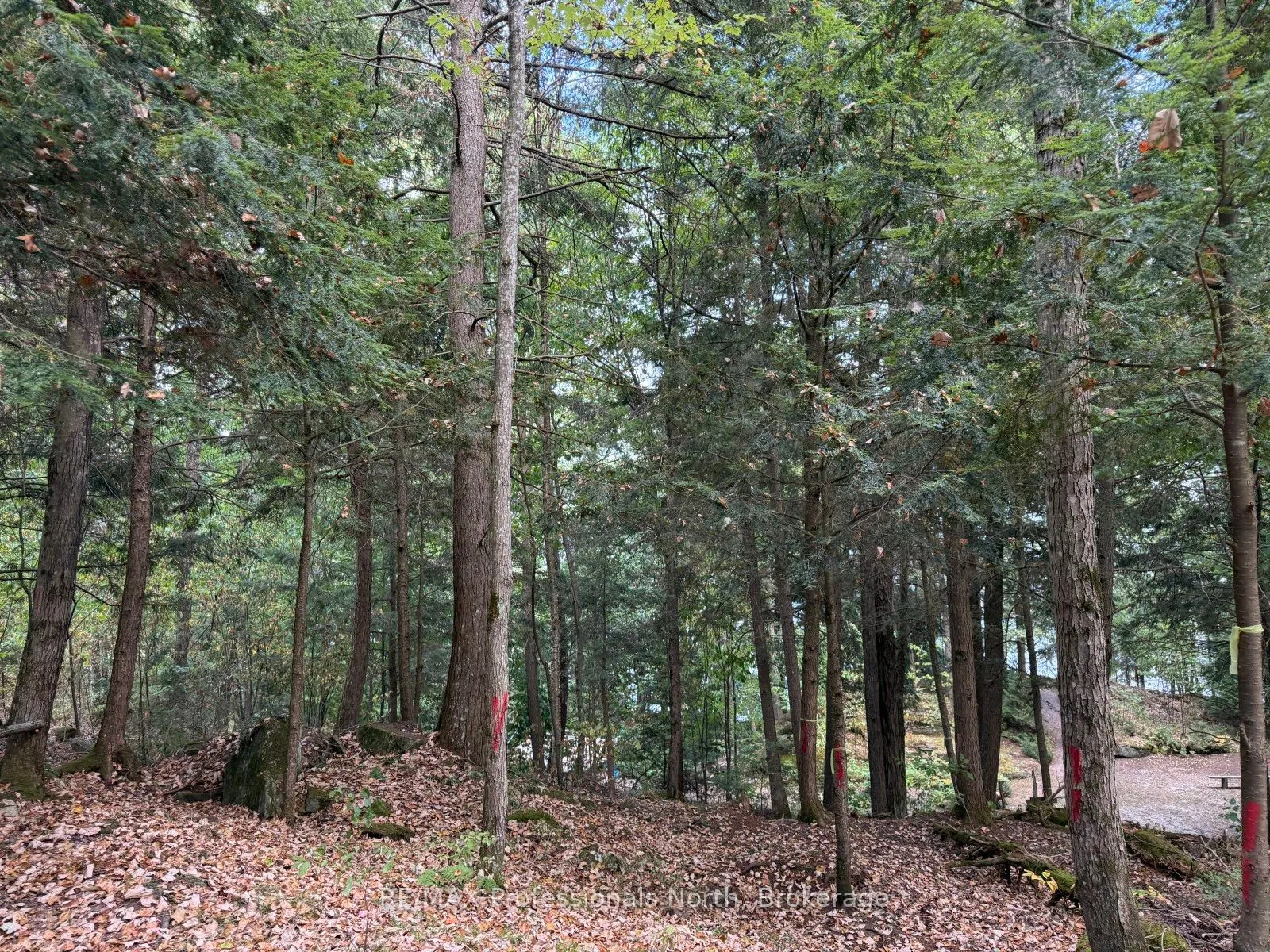 0 Kennisis Lake Road