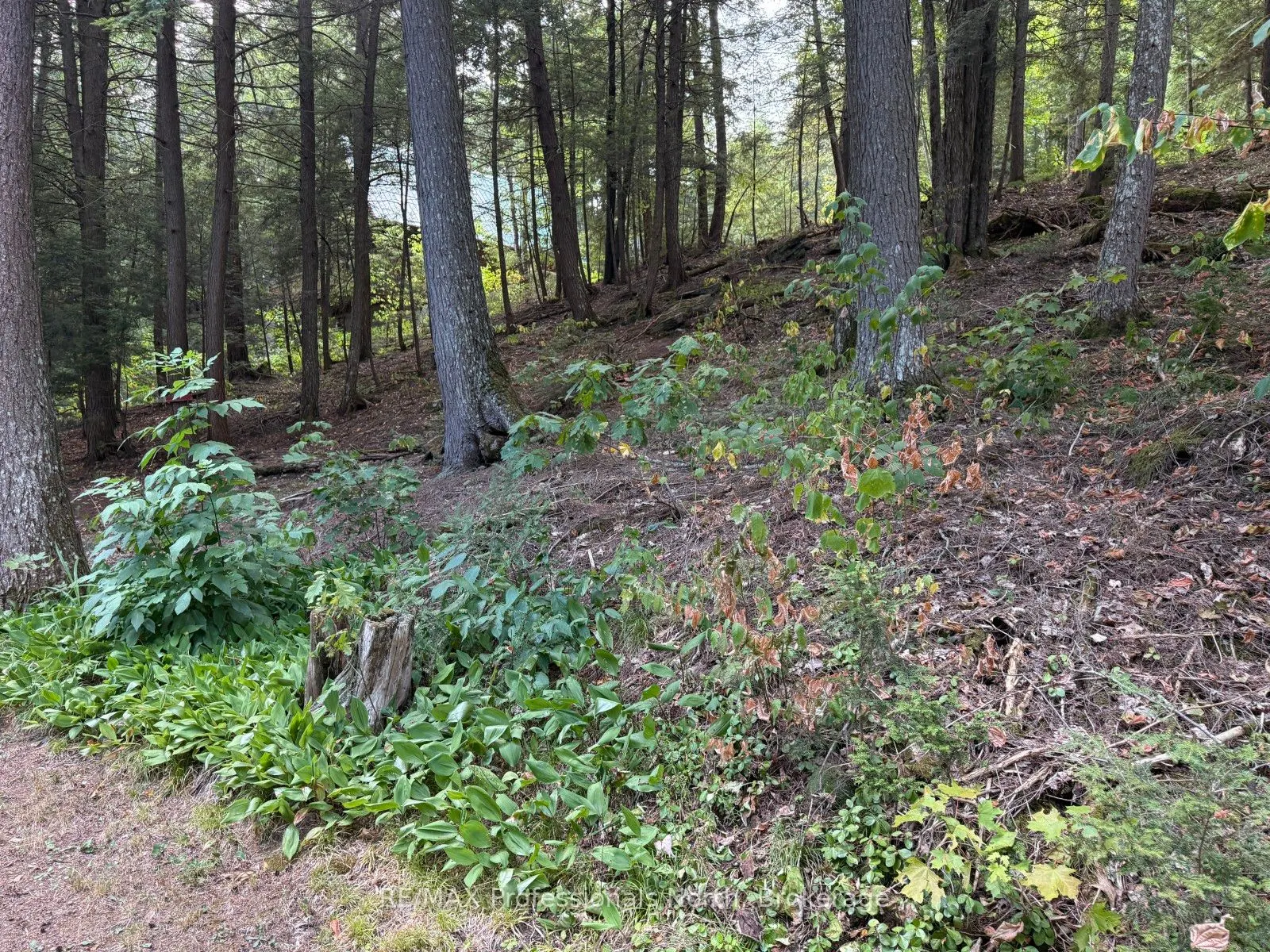 0 Kennisis Lake Road