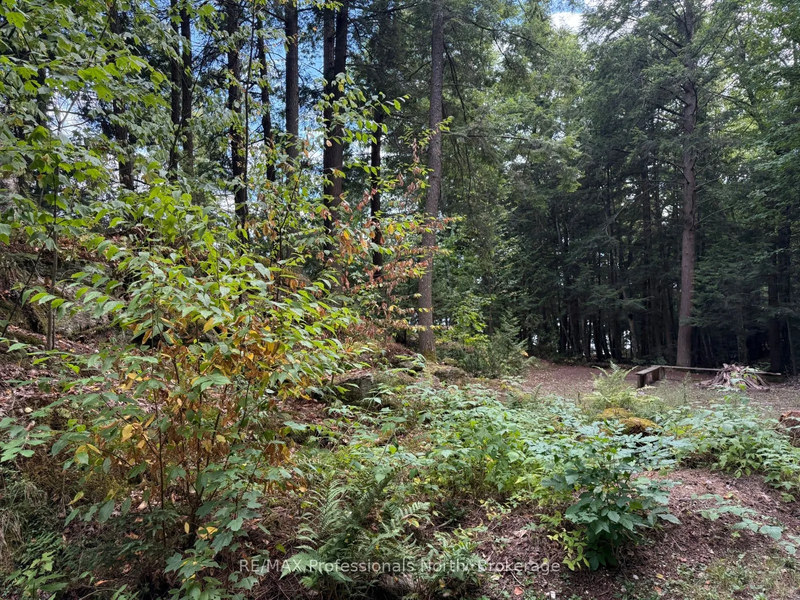 0 Kennisis Lake Road