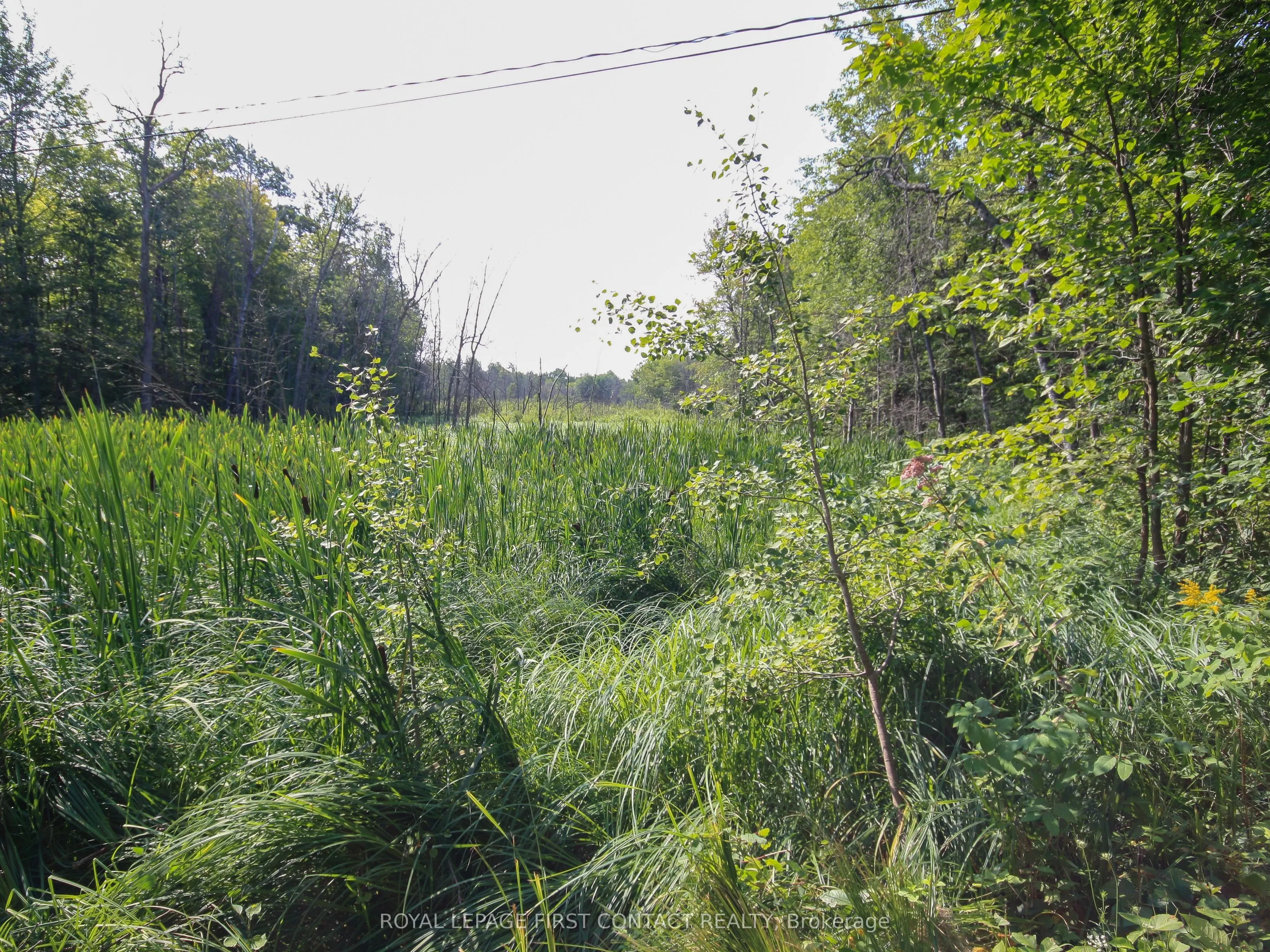 30 Birch Acres Drive