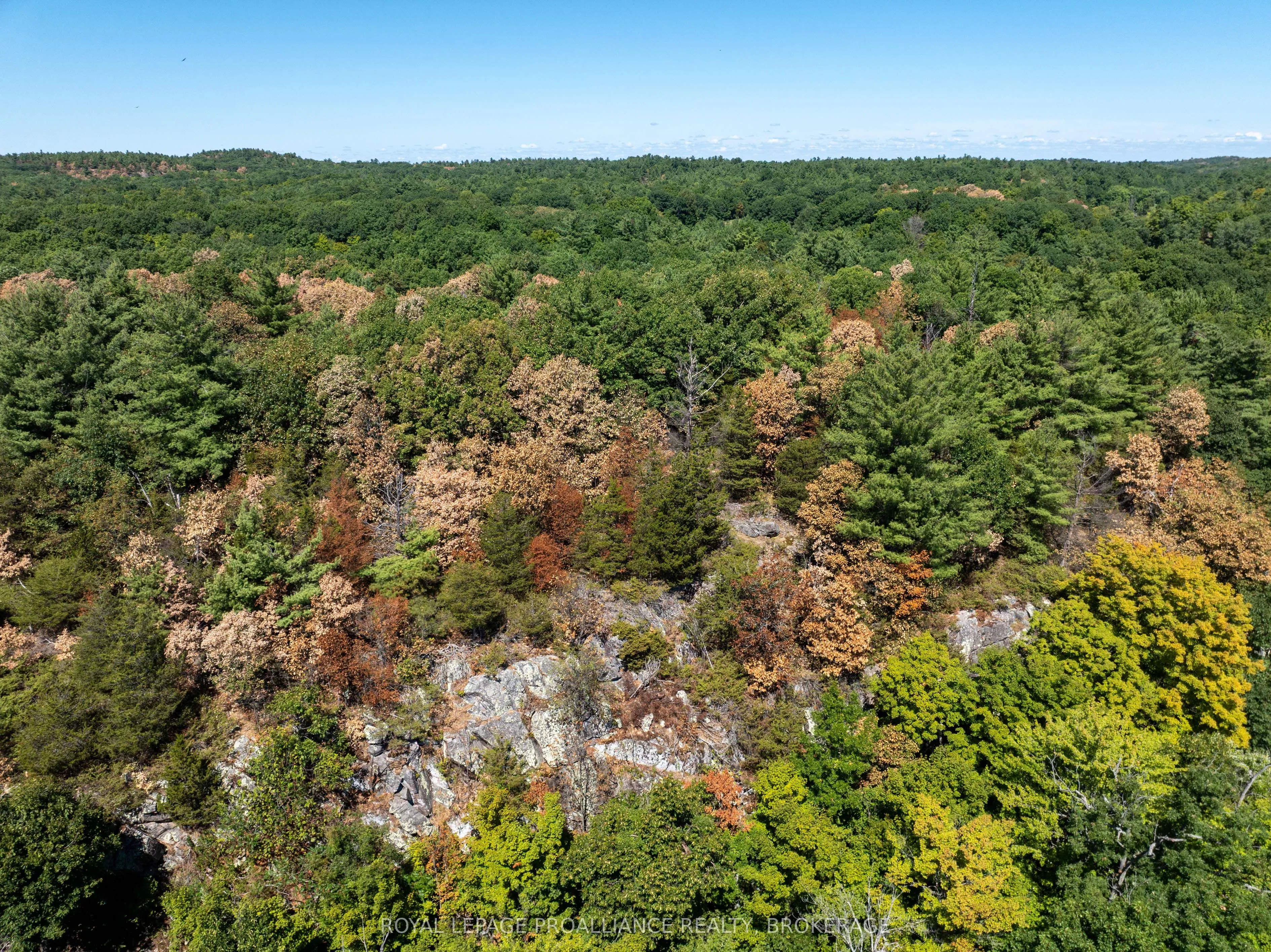 492 1000 Islands Parkway