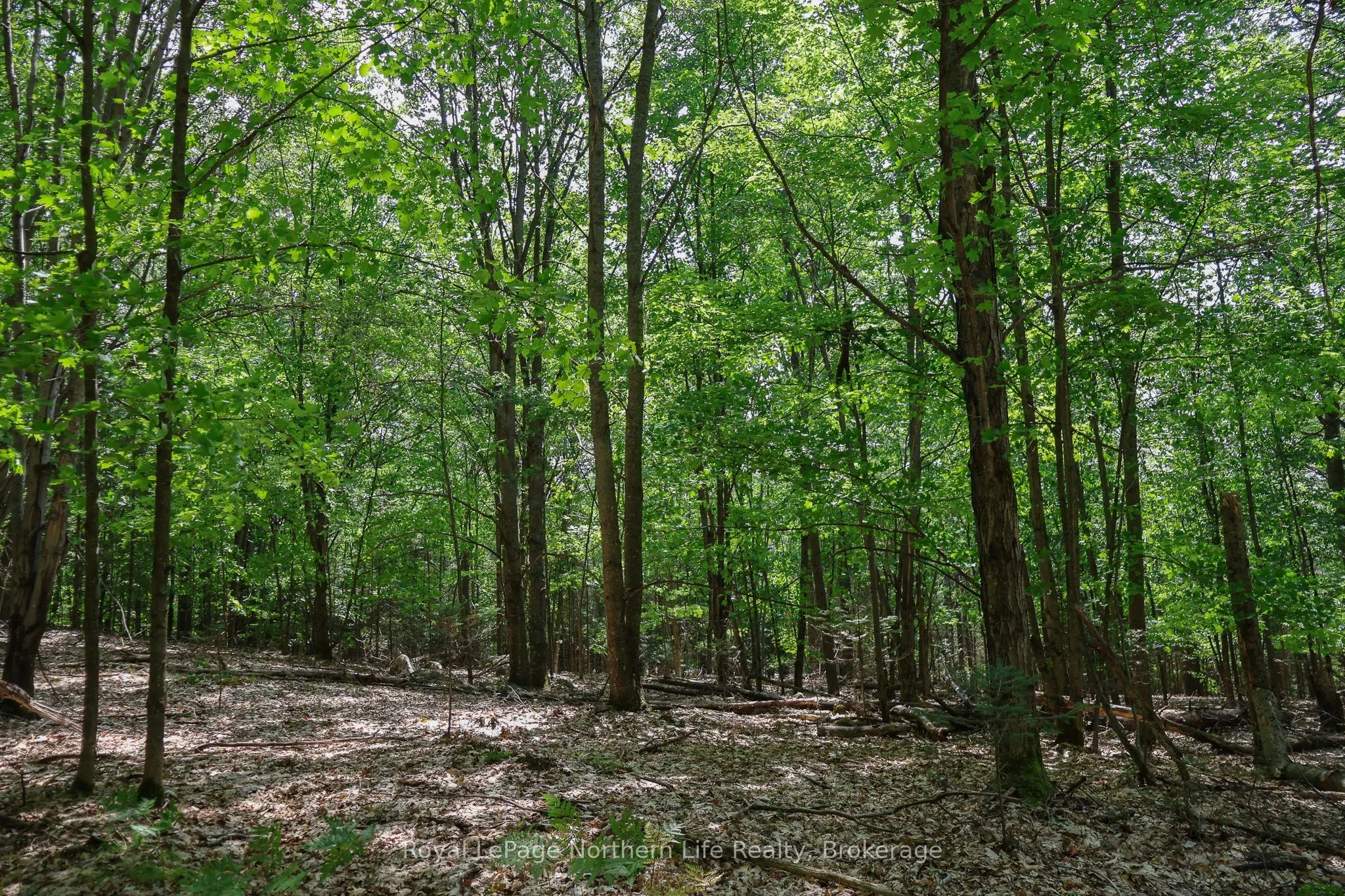 Lot 12 South Shore Road