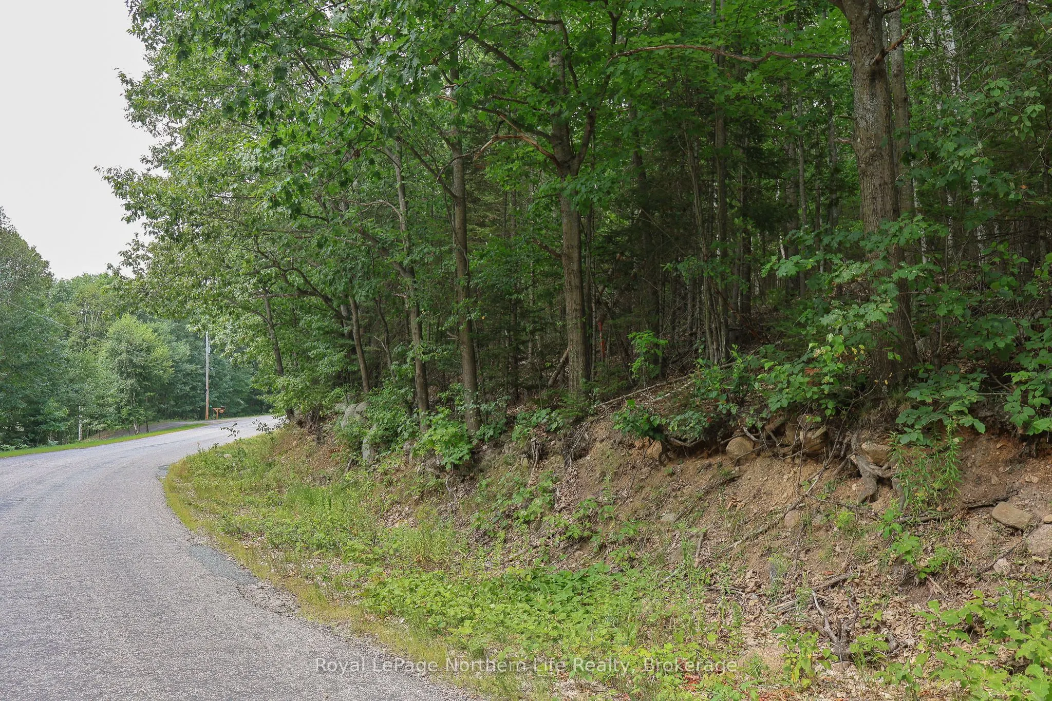 Lot 12 South Shore Road