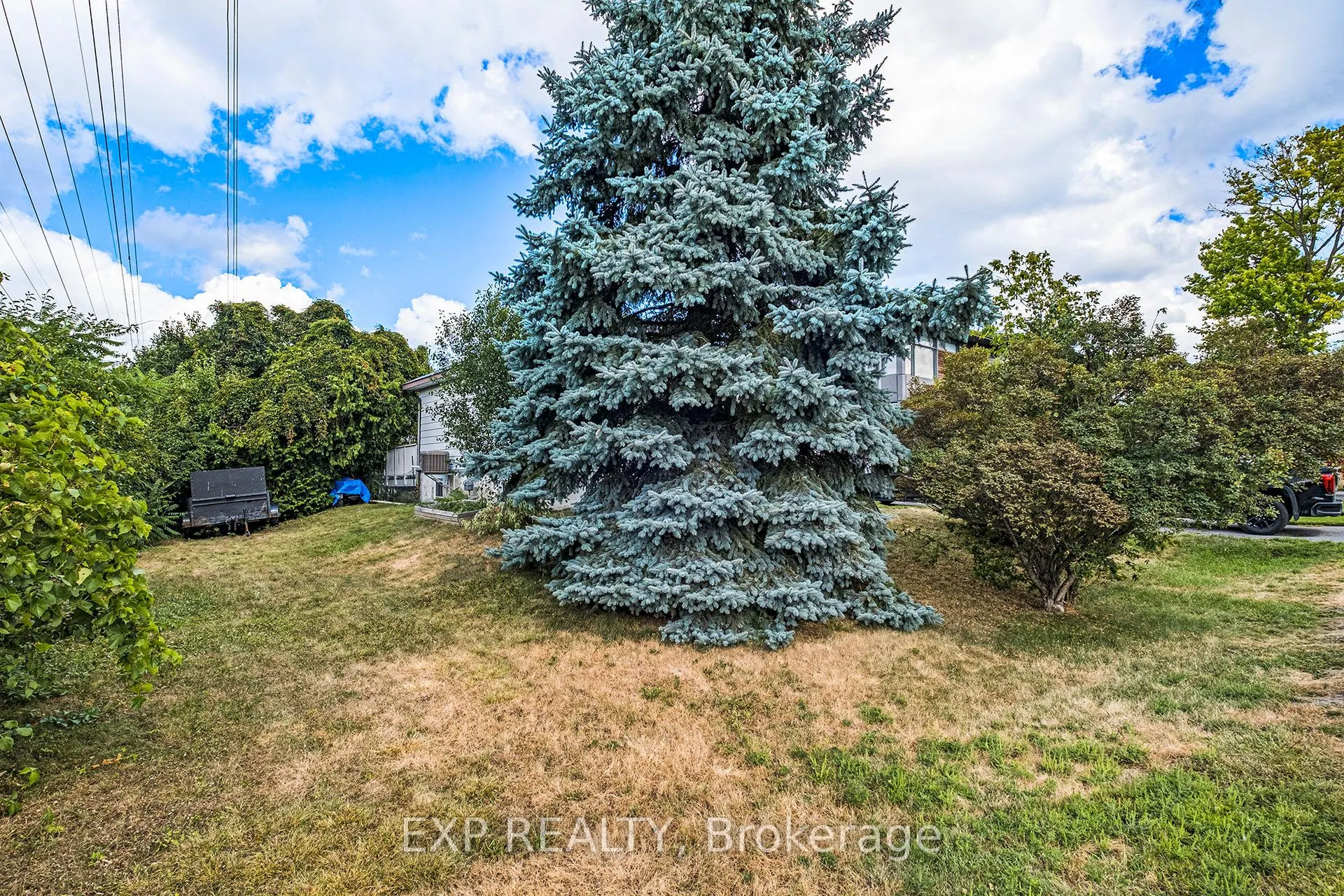 63 Withrow Avenue