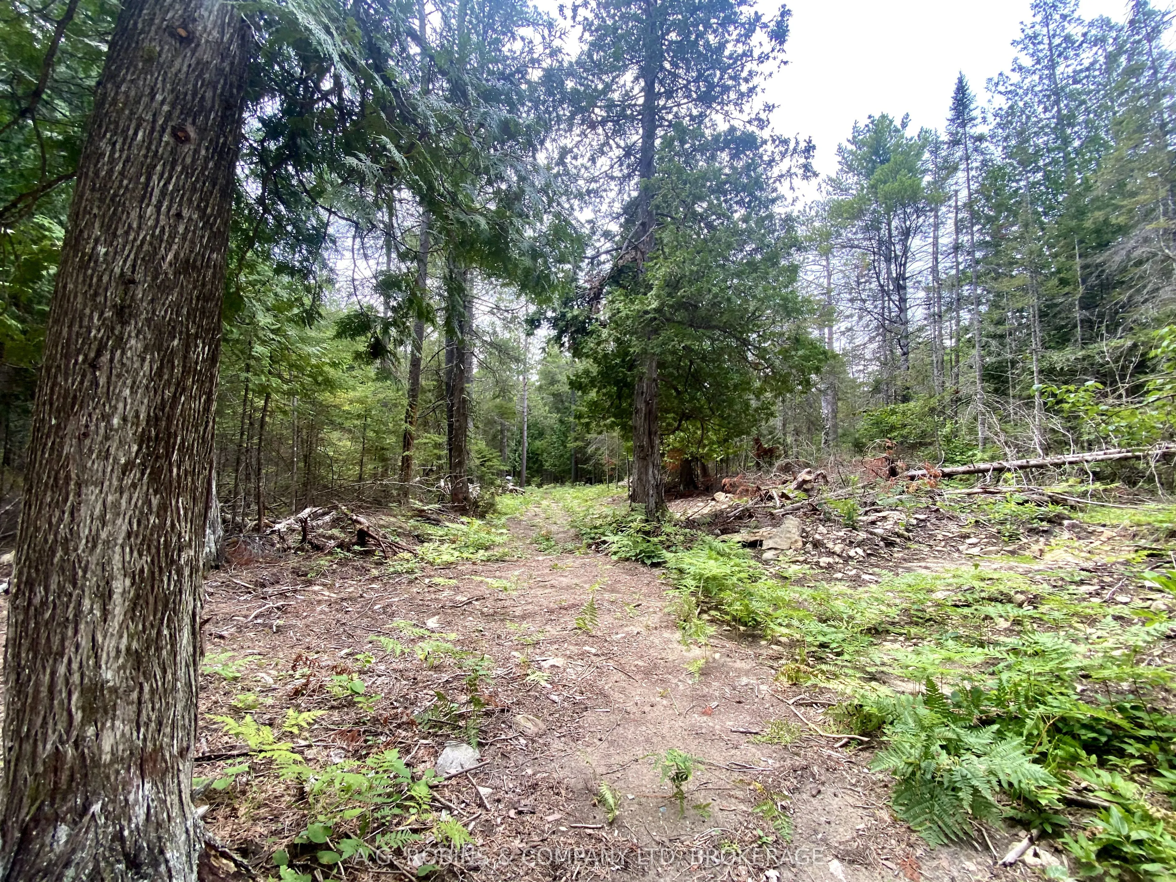 262 Johnsons Harbour Road