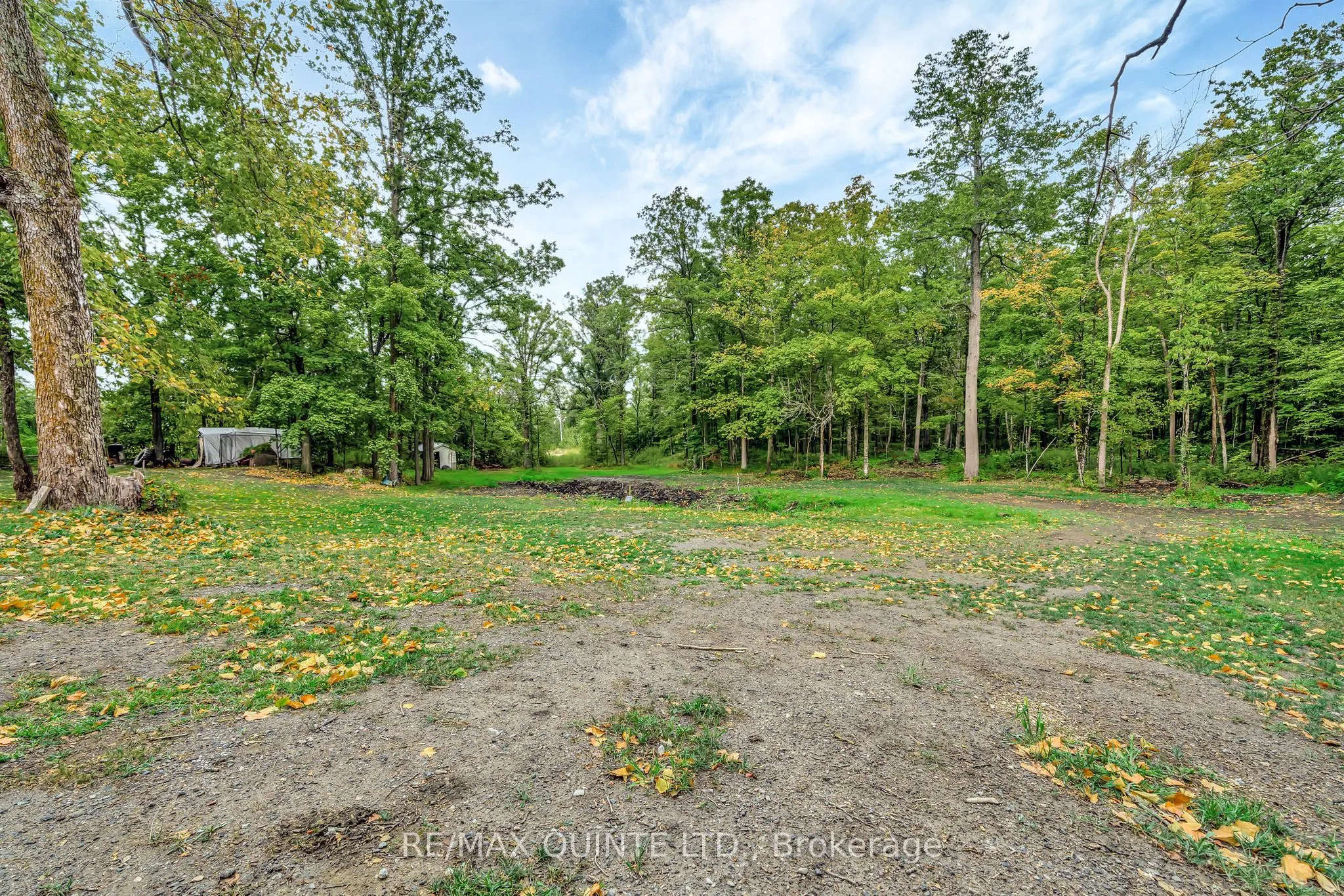 14184 Highway 62