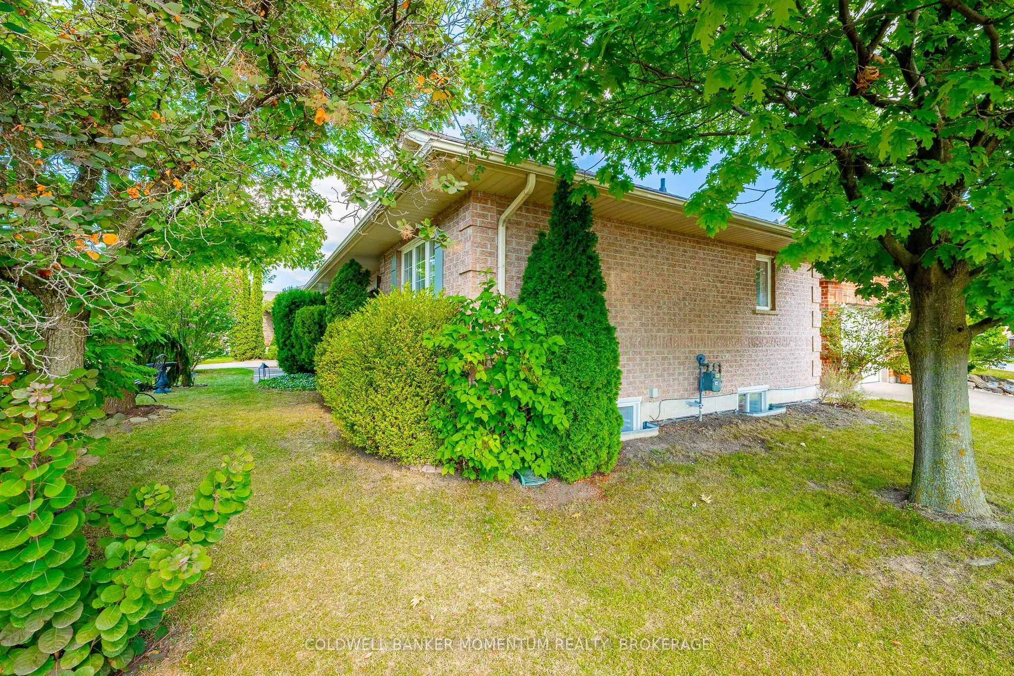 3901 Rainbow Lane