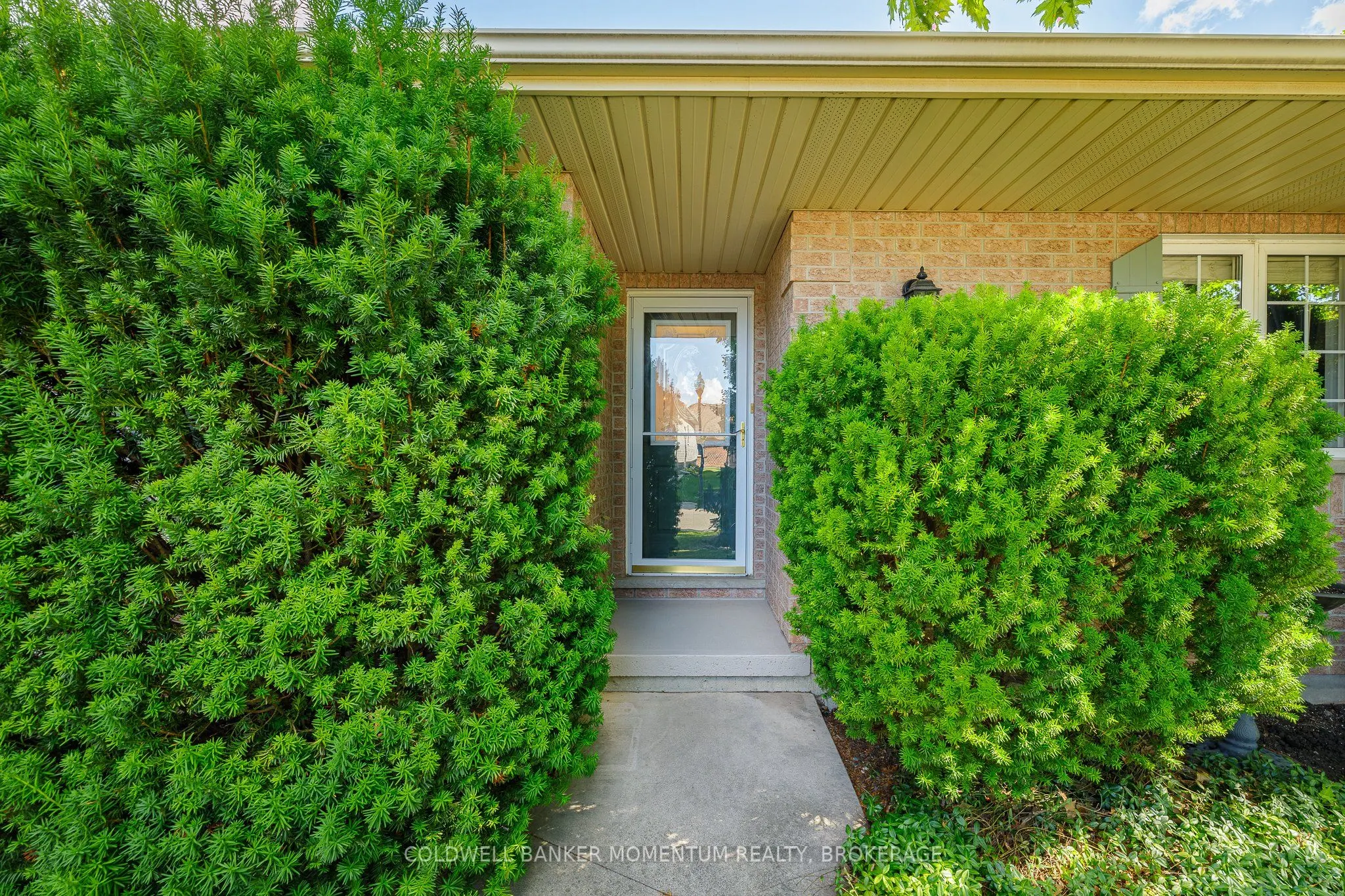 3901 Rainbow Lane