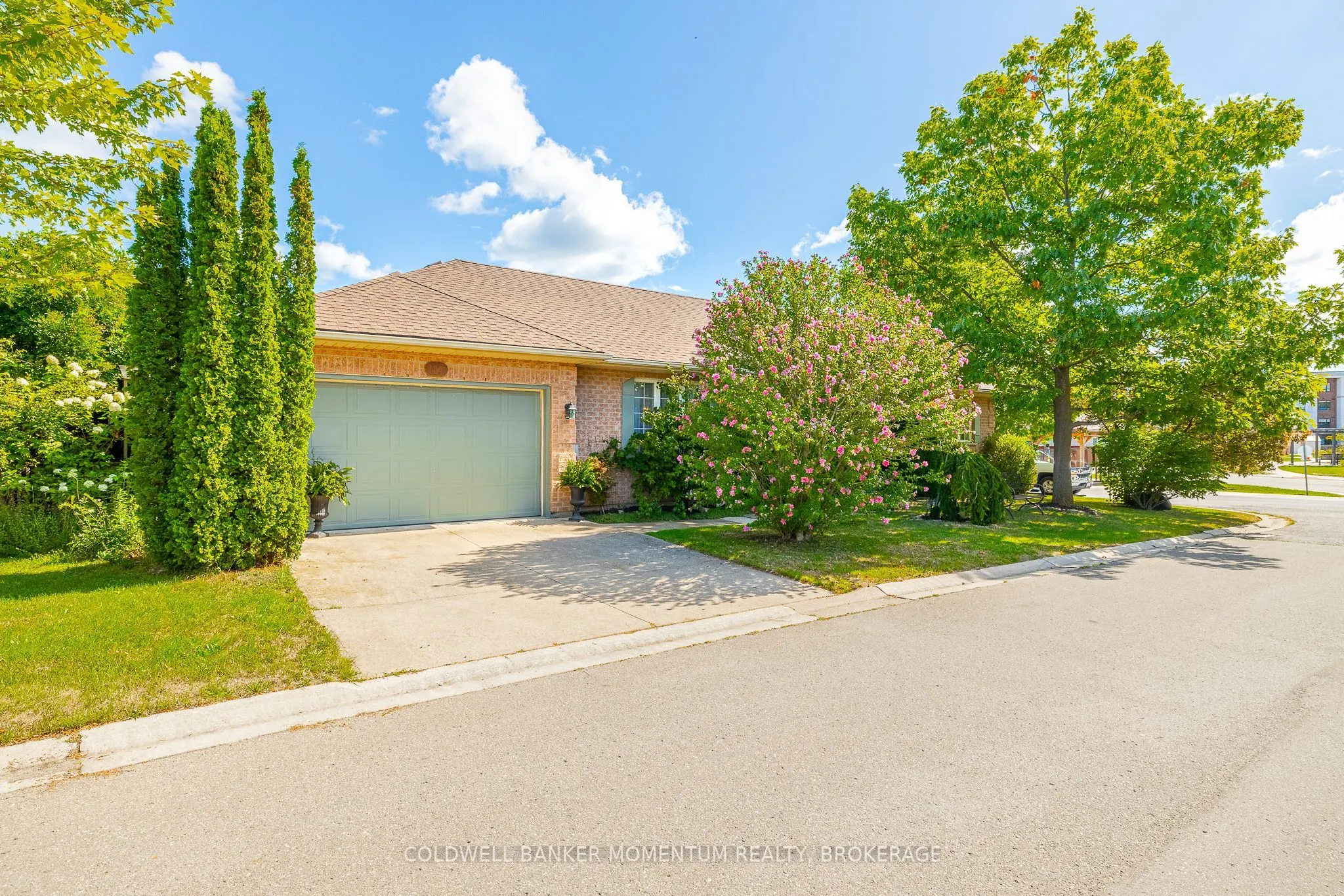 3901 Rainbow Lane