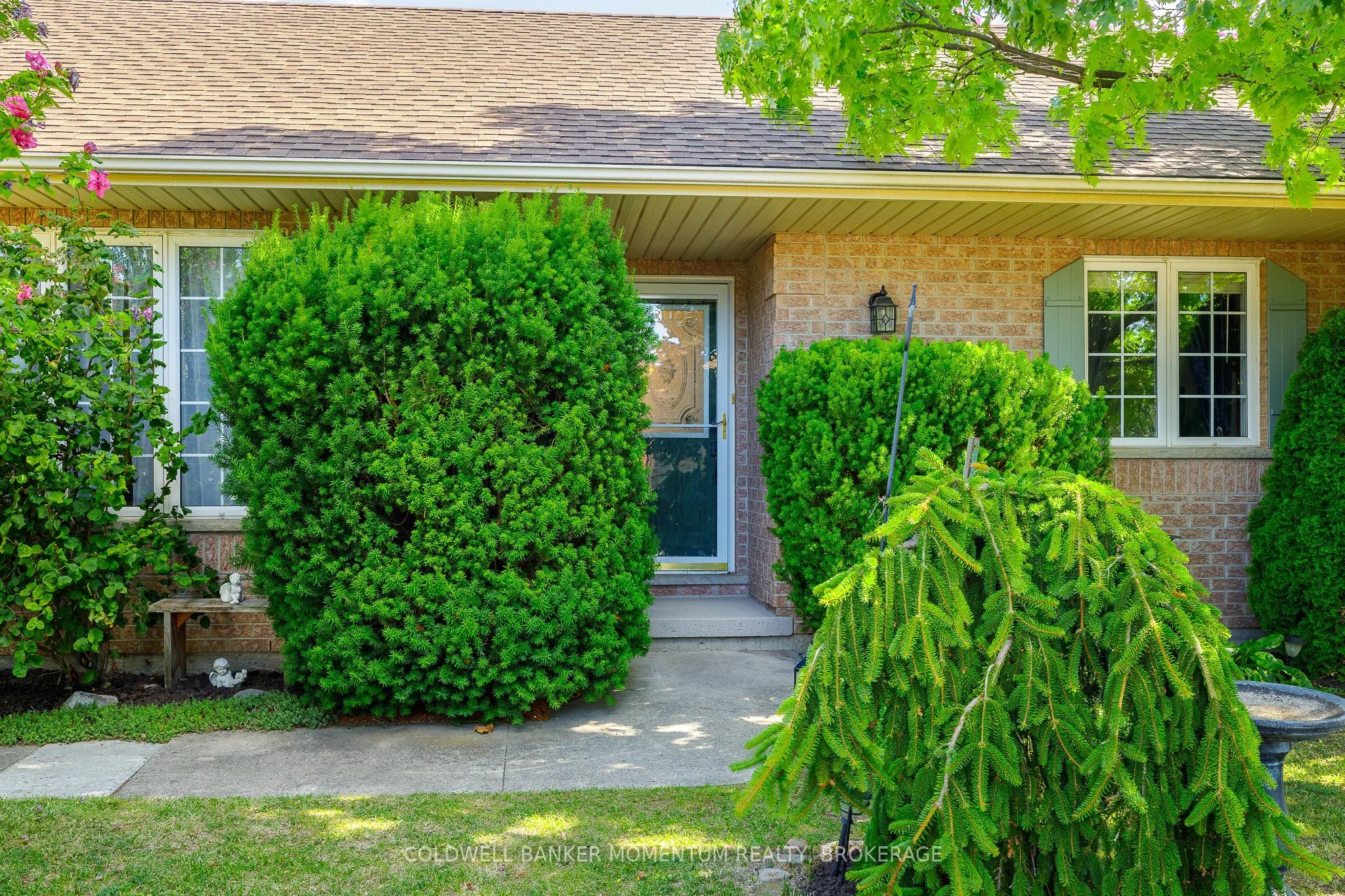 3901 Rainbow Lane