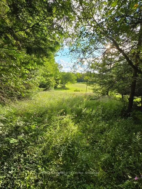581650 9A Side Road