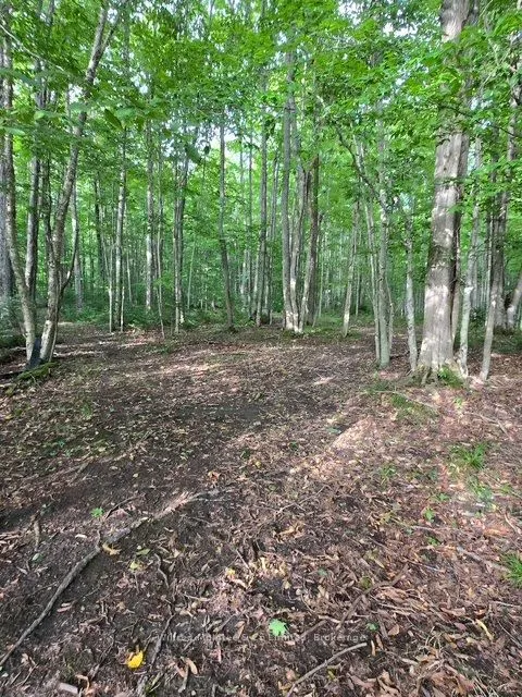 581650 9A Side Road