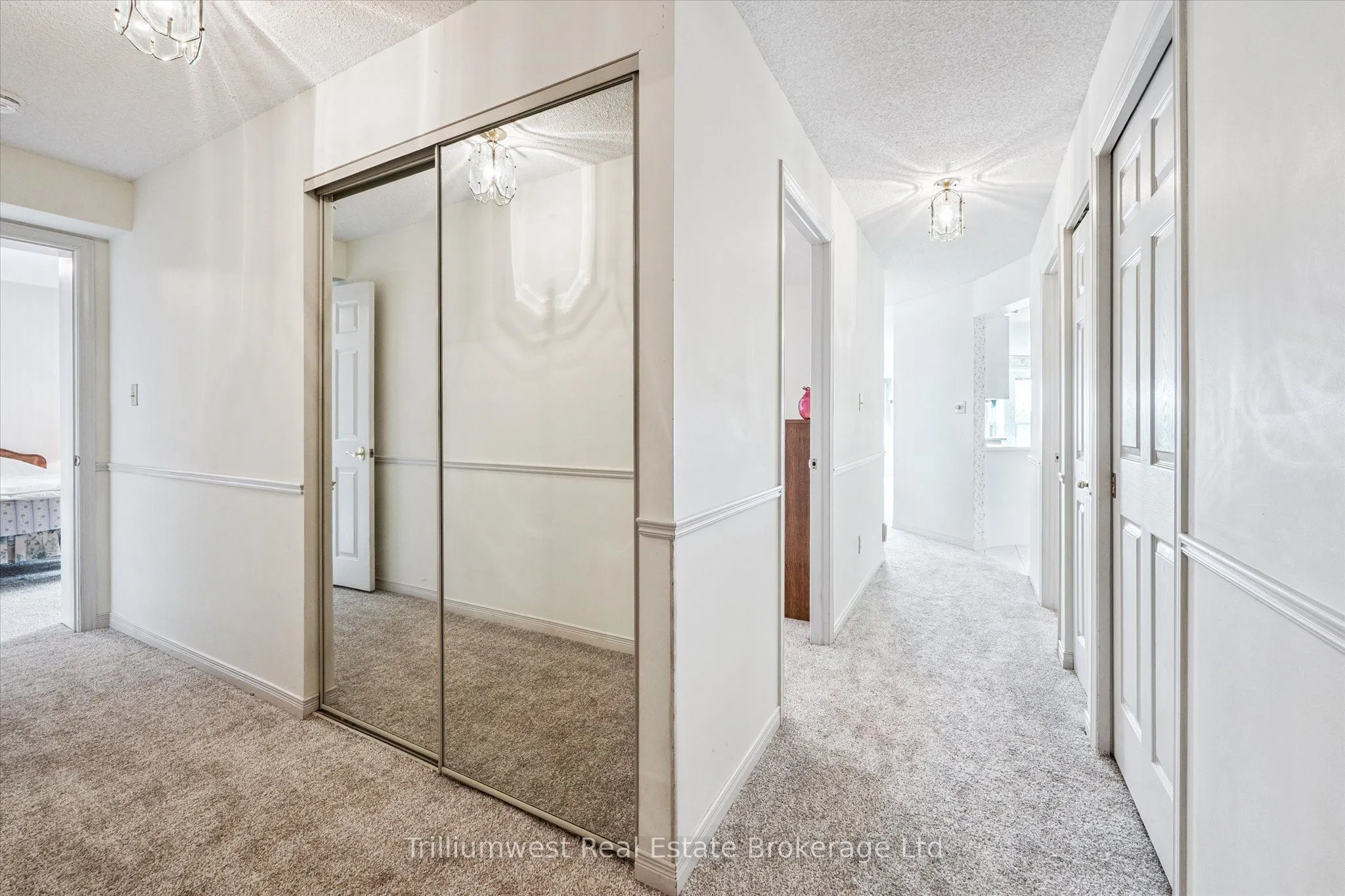 281 Bristol Street, #704