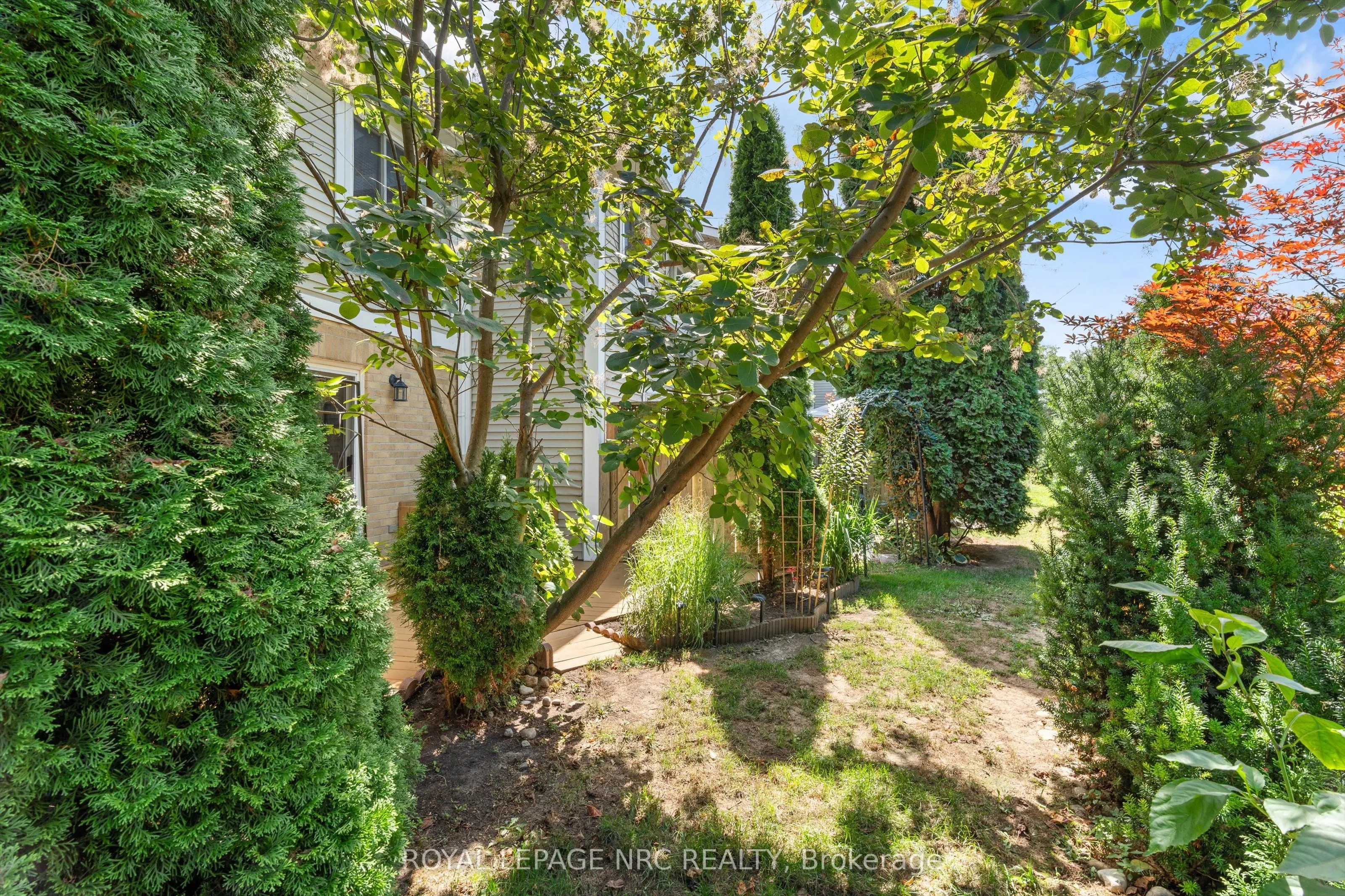 38 Elma Street, #9