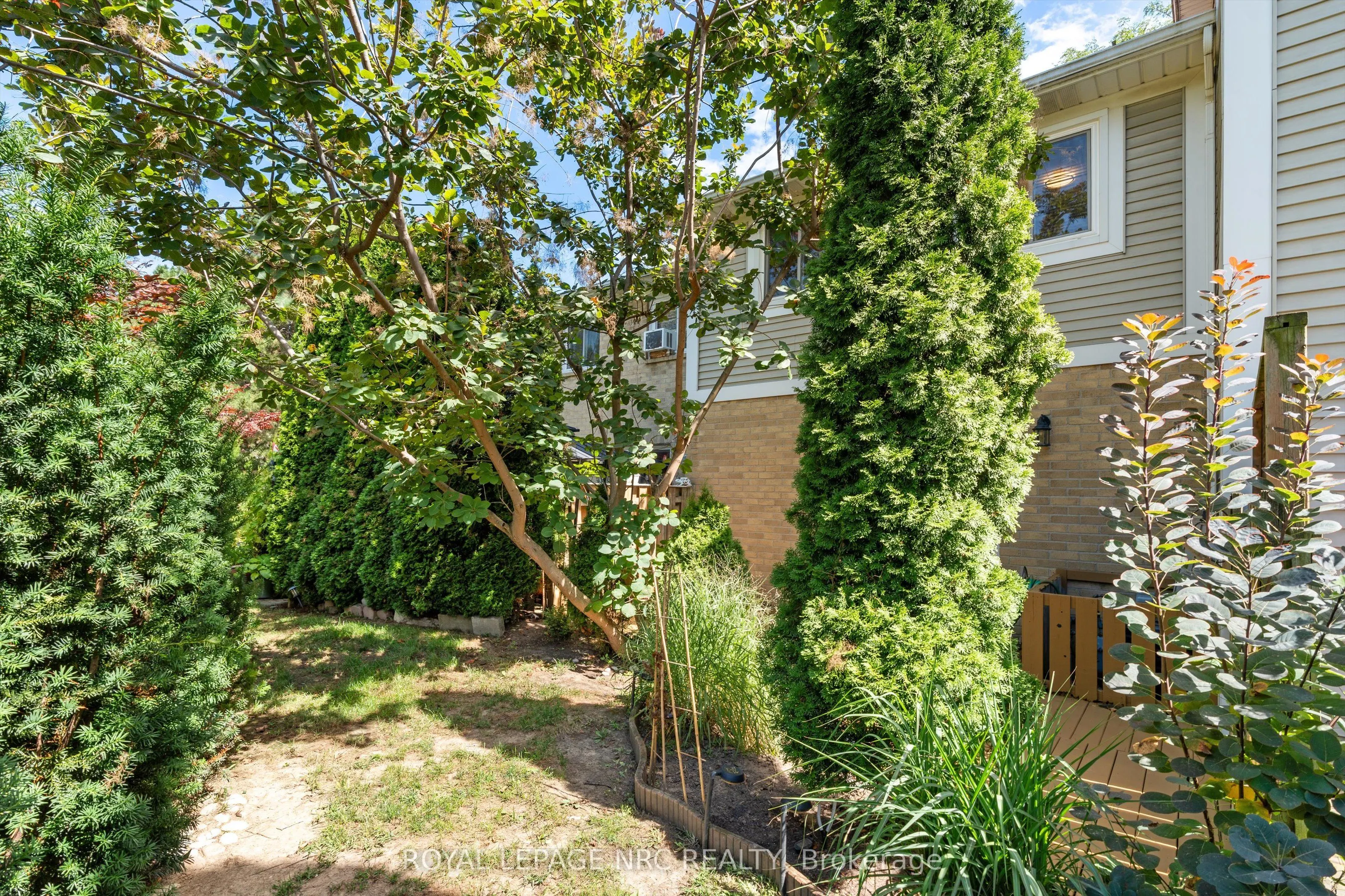 38 Elma Street, #9