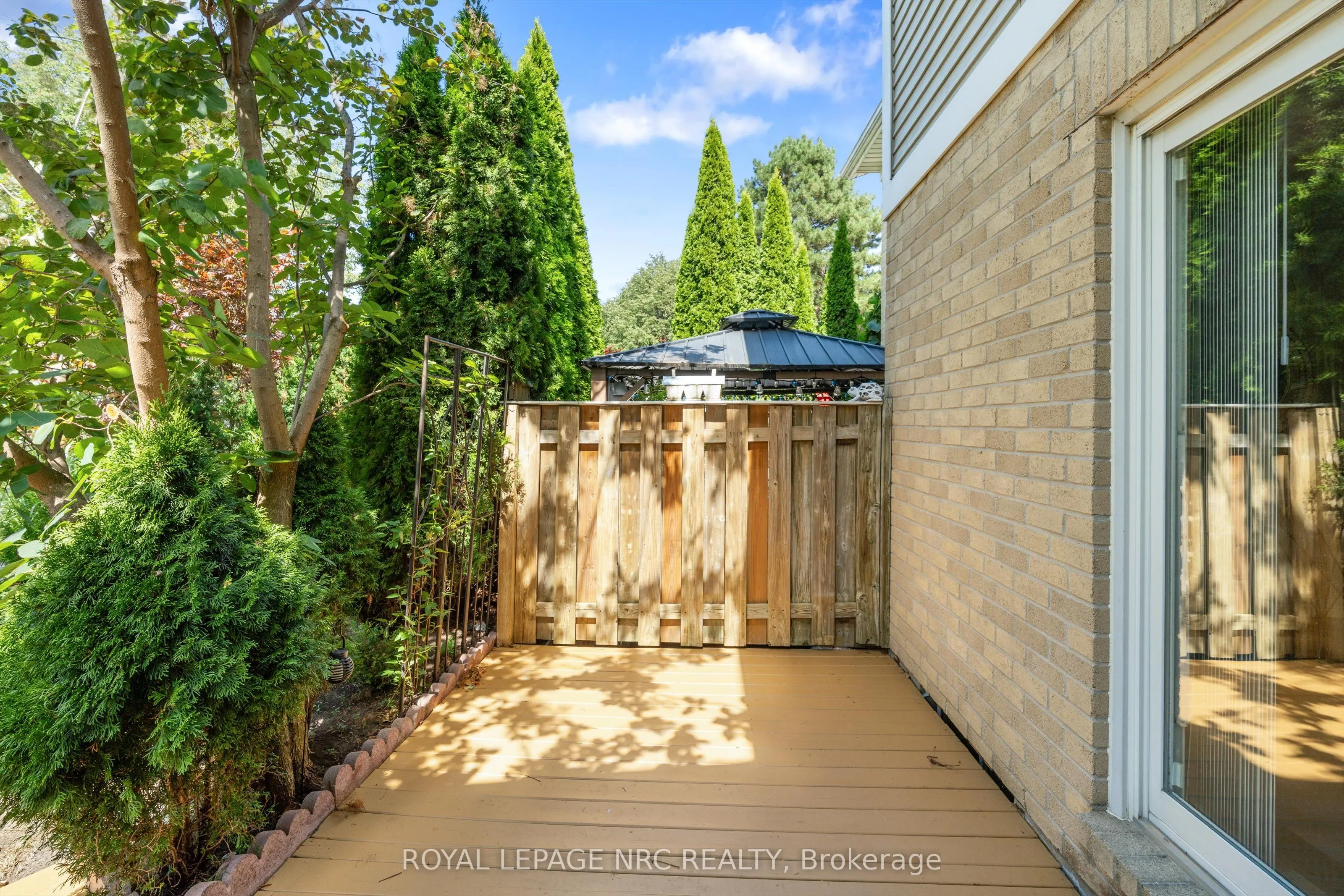 38 Elma Street, #9