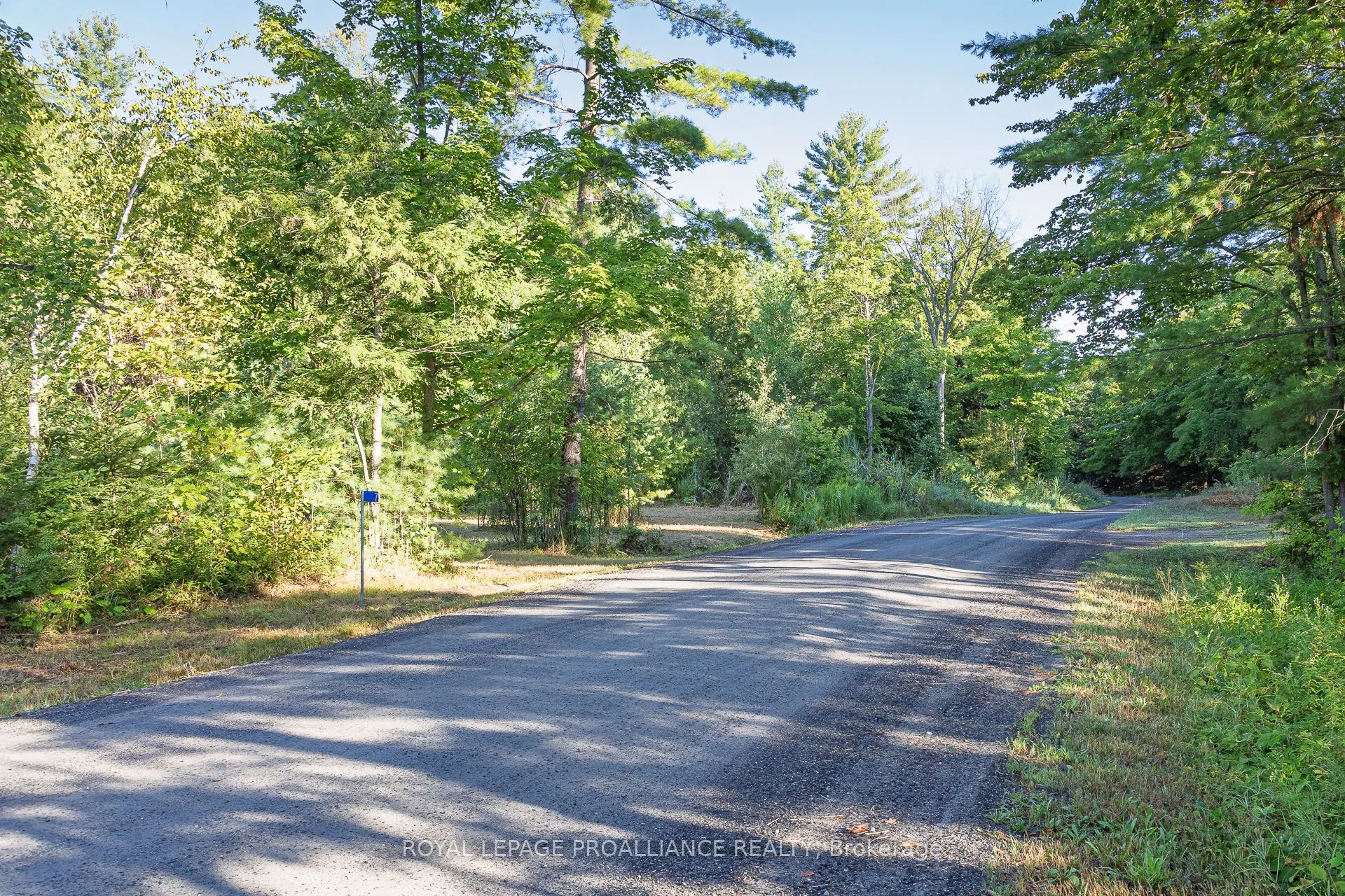 7 French Settlement Road N