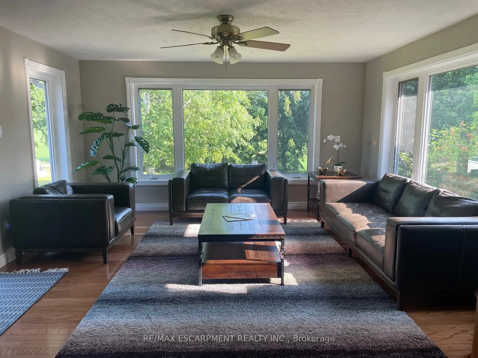 22648 Grey Rd 16