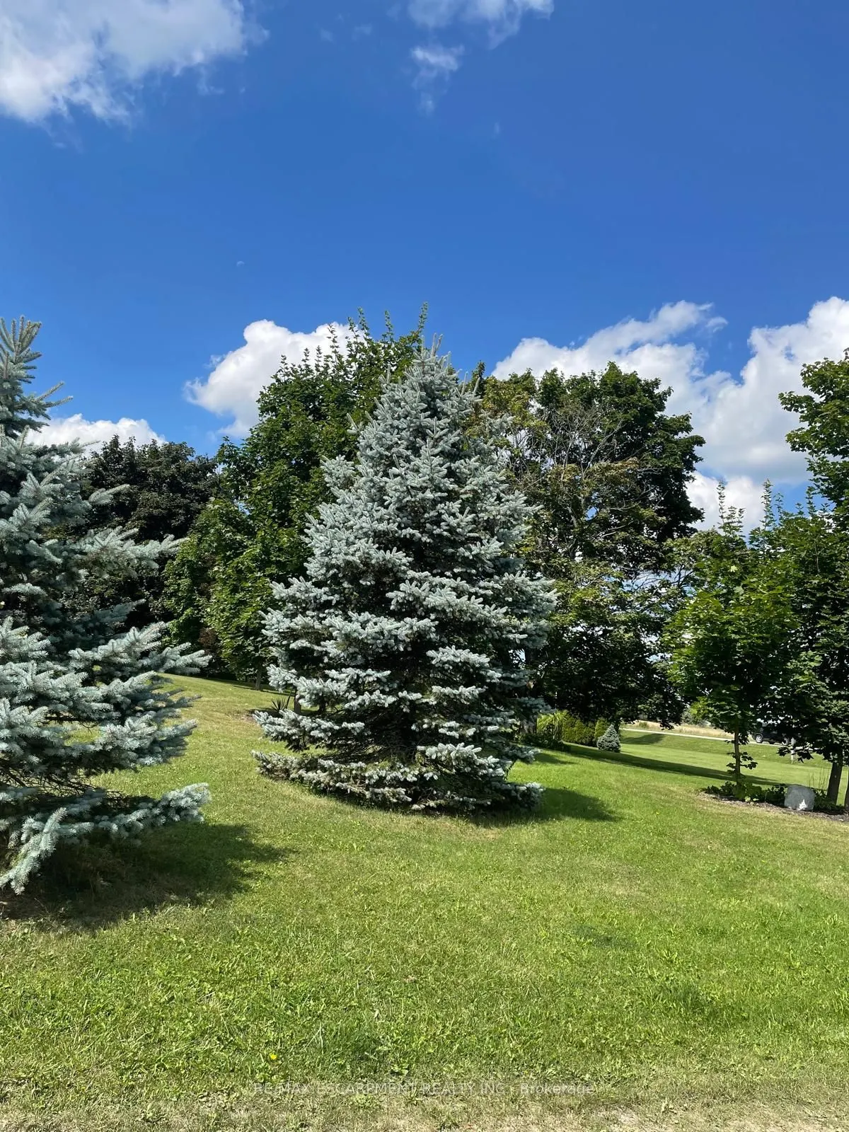 22648 Grey Rd 16