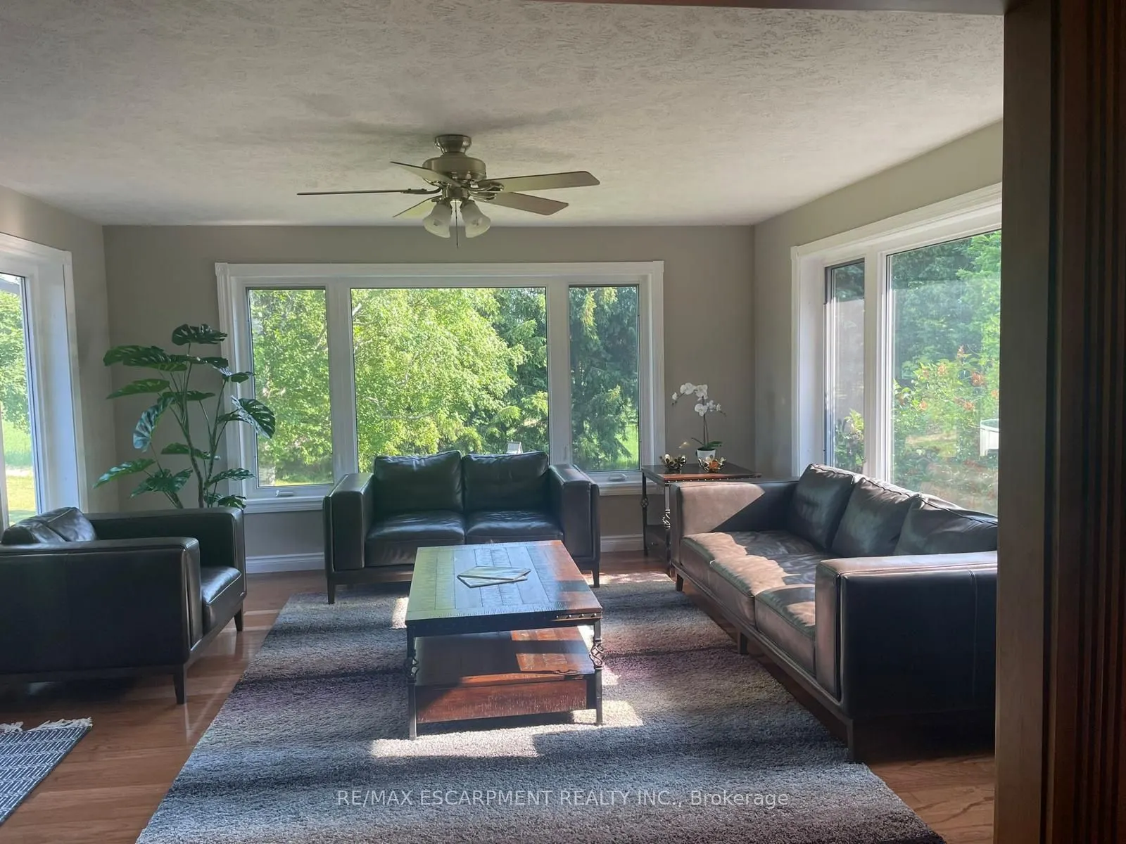 22648 Grey Rd 16