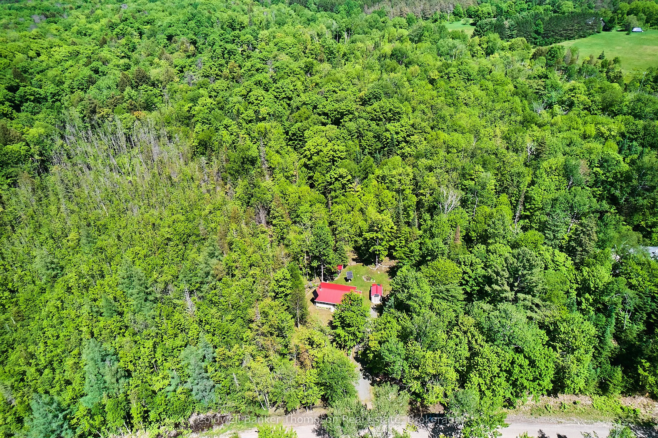 1022 Upper Walker Lake Road