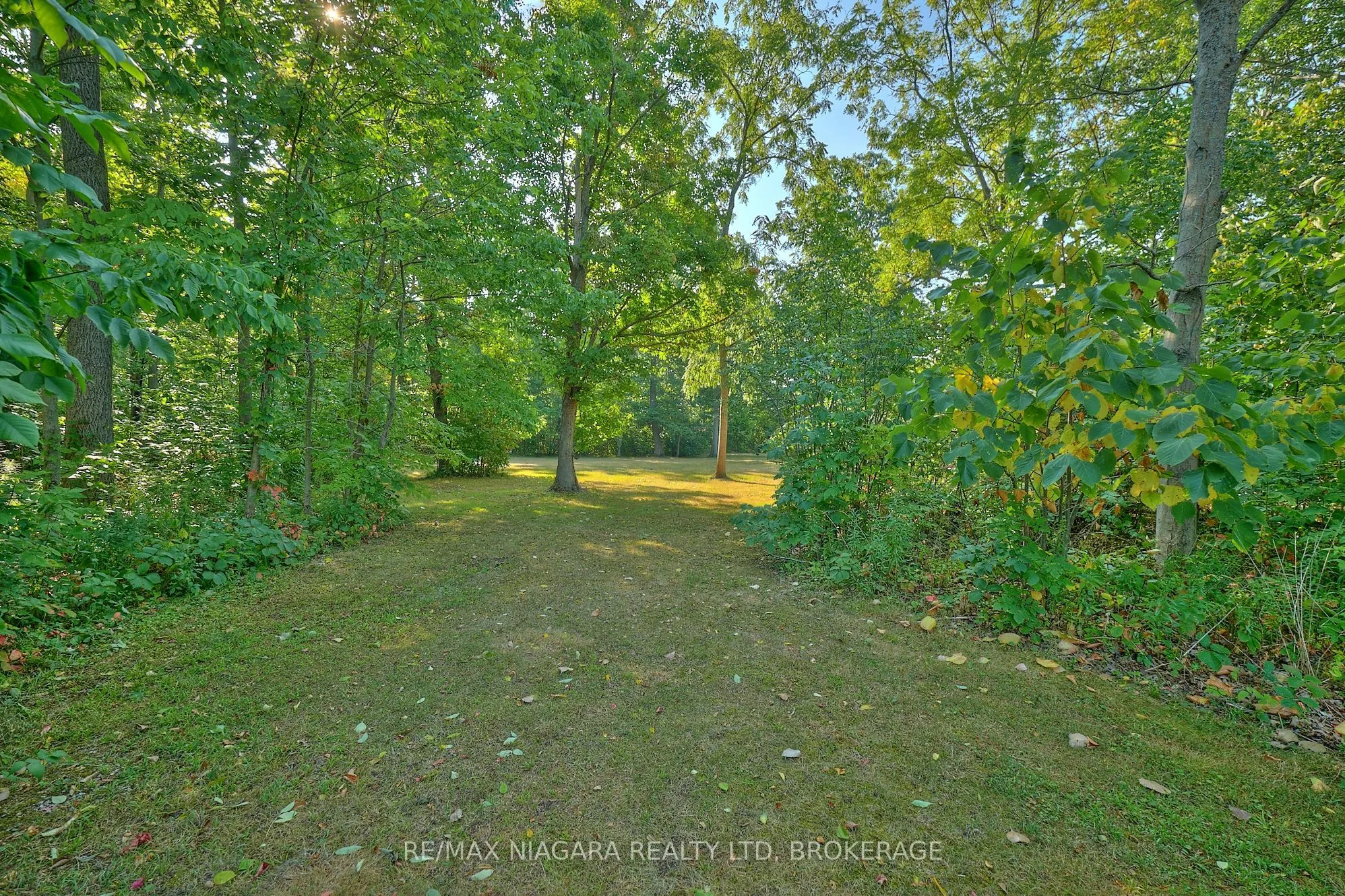 464 Gloria Road