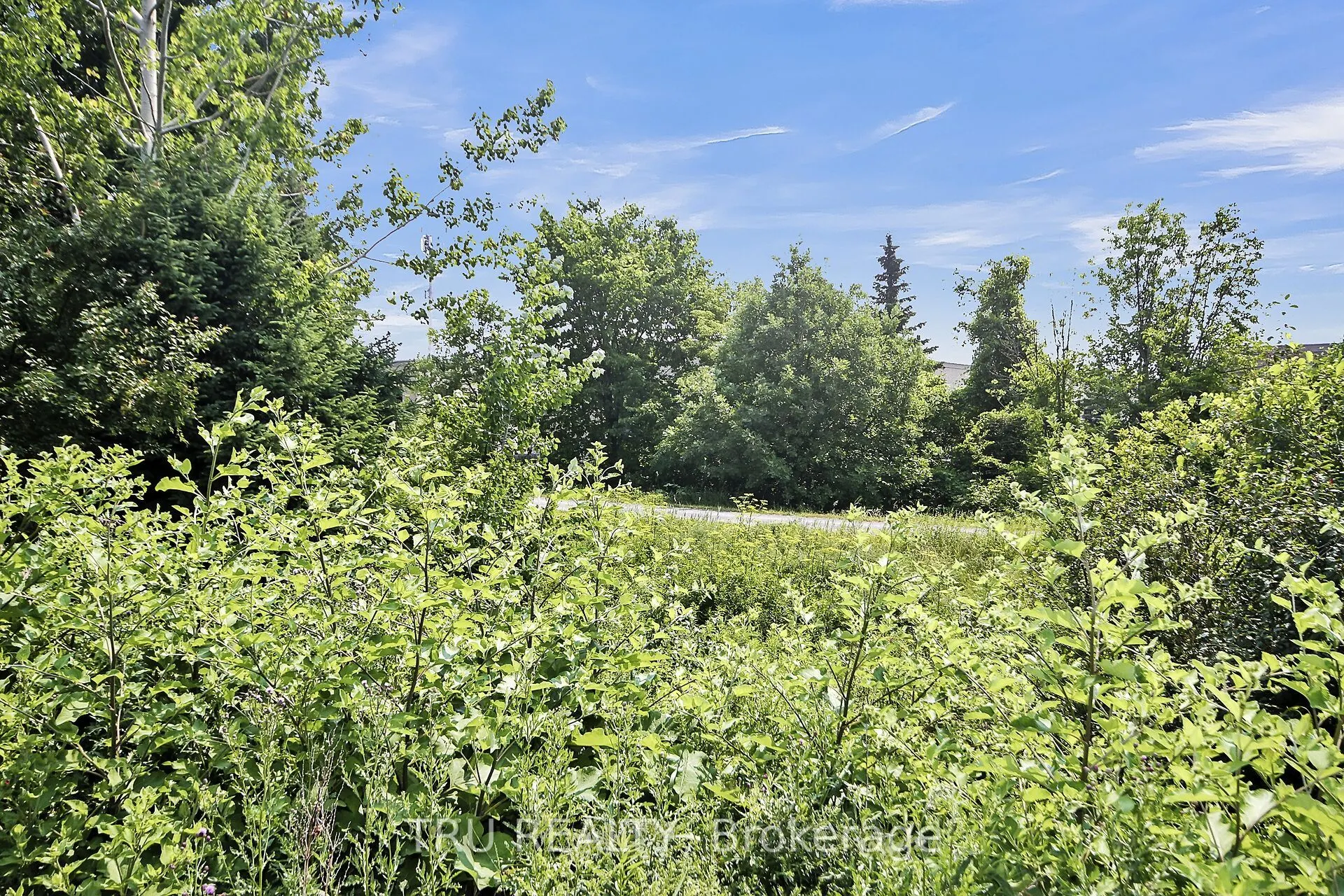 132 Rothesay Drive