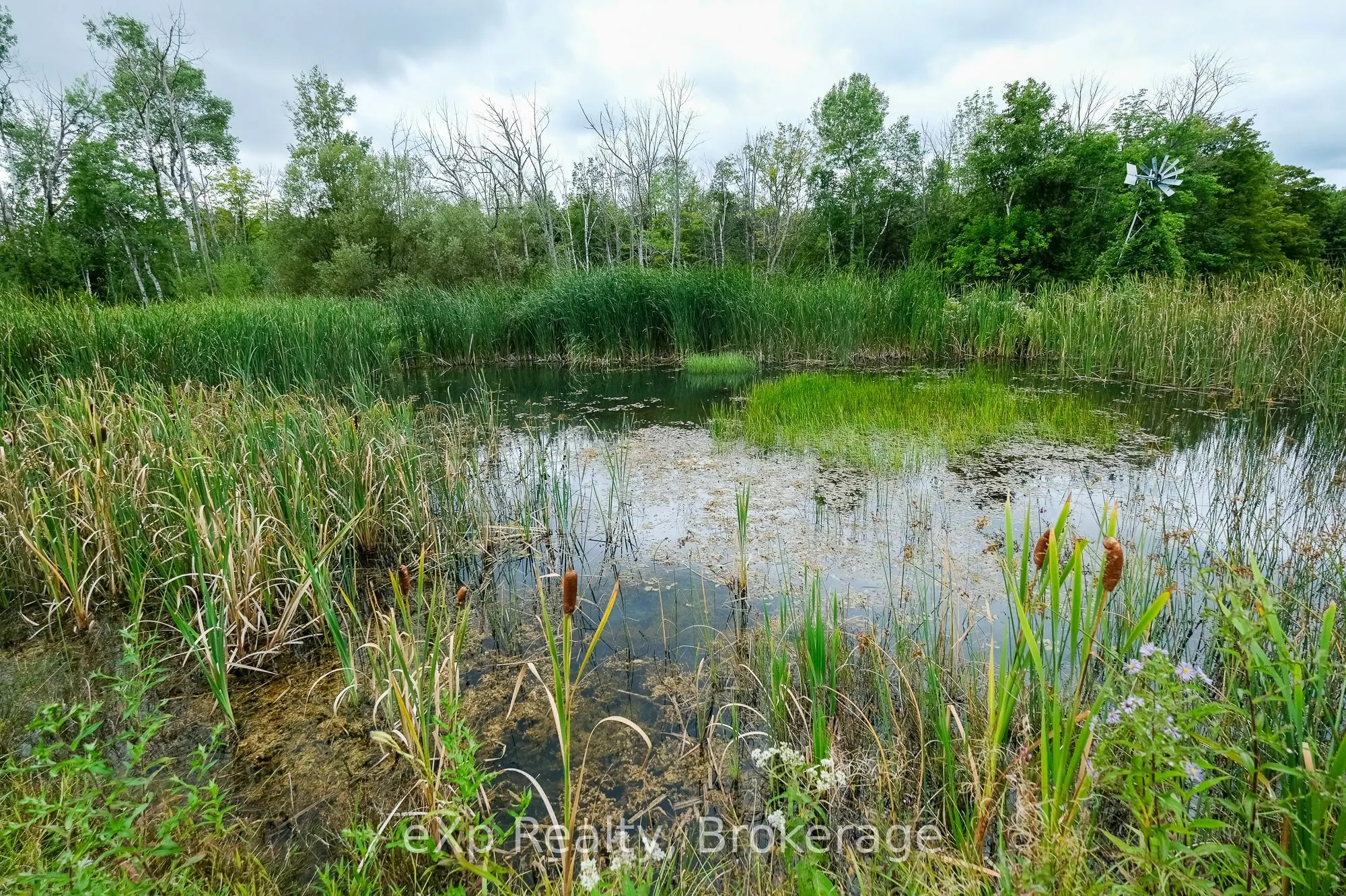 502032 Grey Road 1