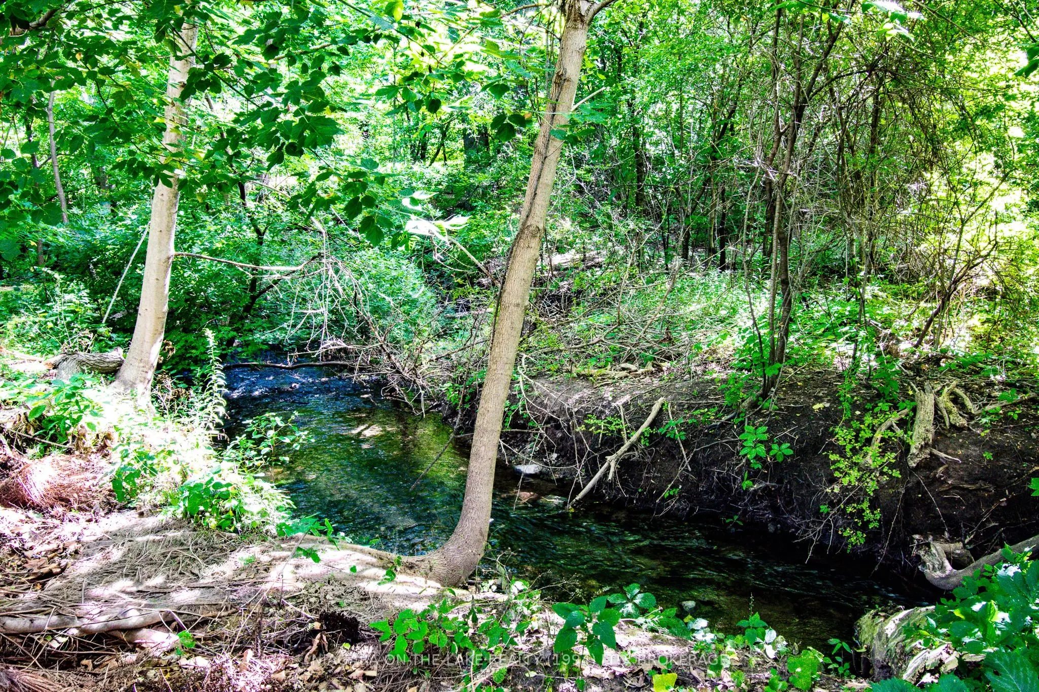 23 Four Mile Creek Road, #328