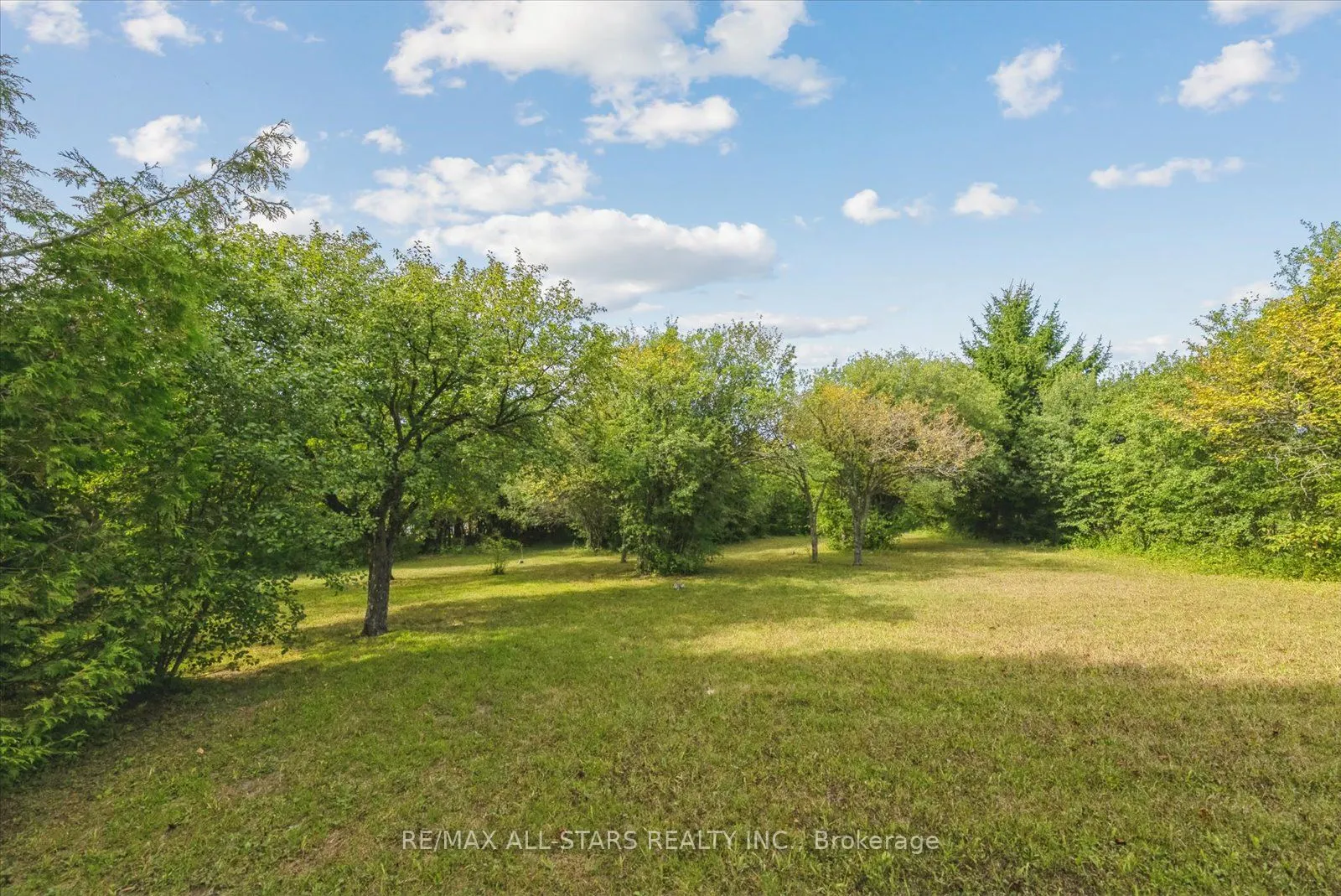 46 Forest Hill Drive