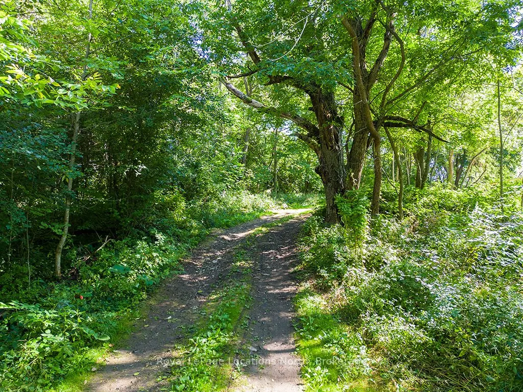 PTLT 12 7 Grey Road