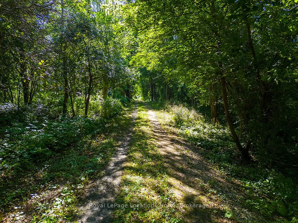 PTLT 12 7 Grey Road