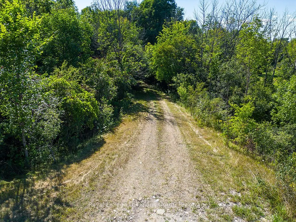 PTLT 12 7 Grey Road