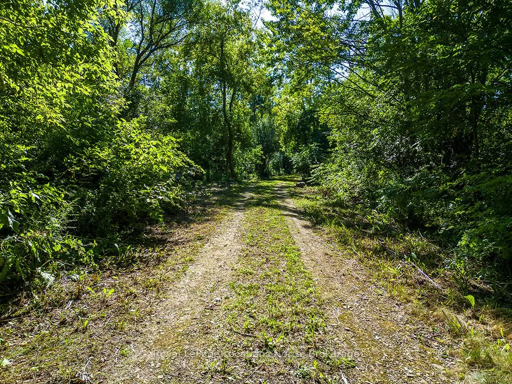 PTLT 12 7 Grey Road