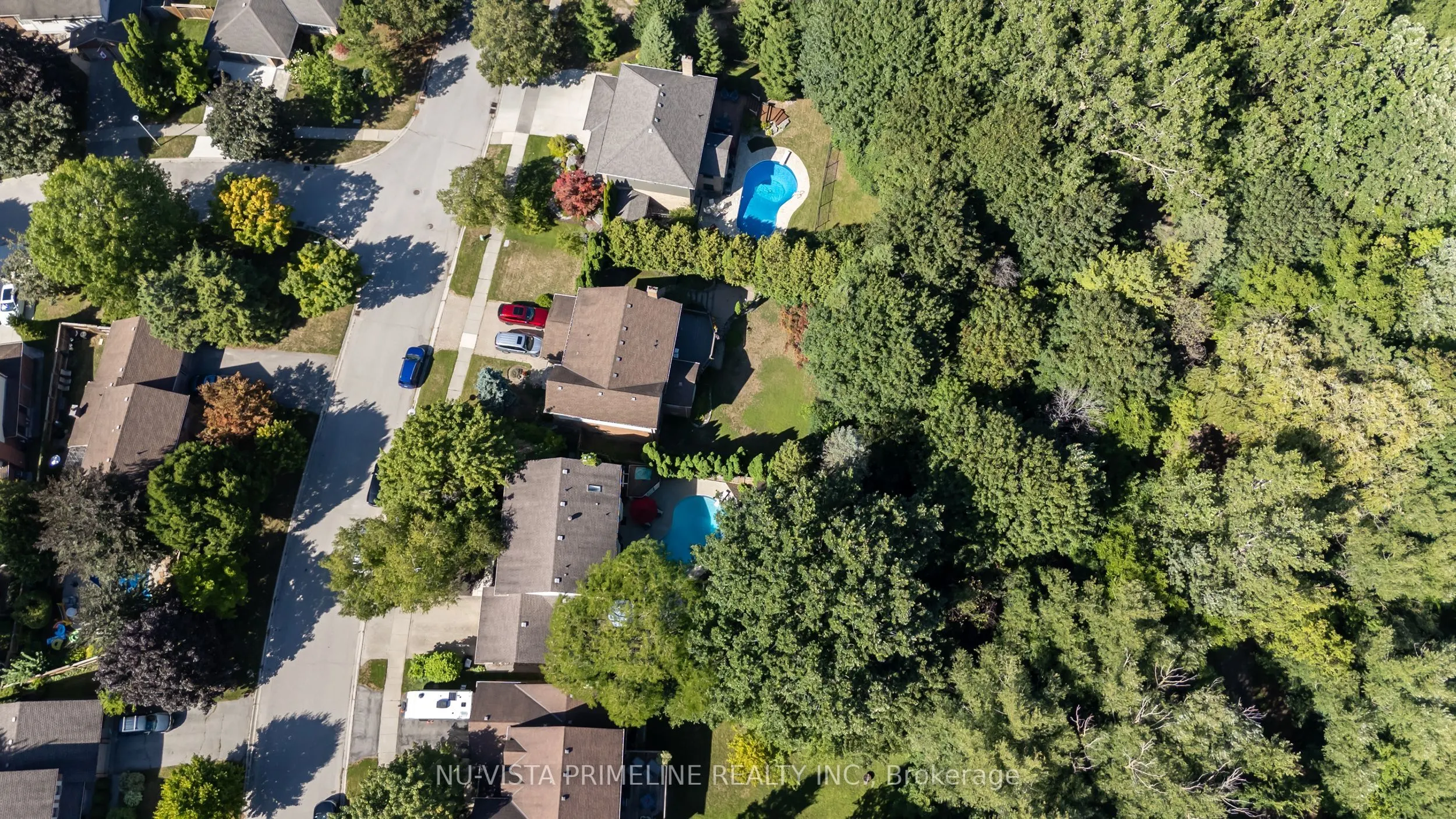50 Meridene Crescent E