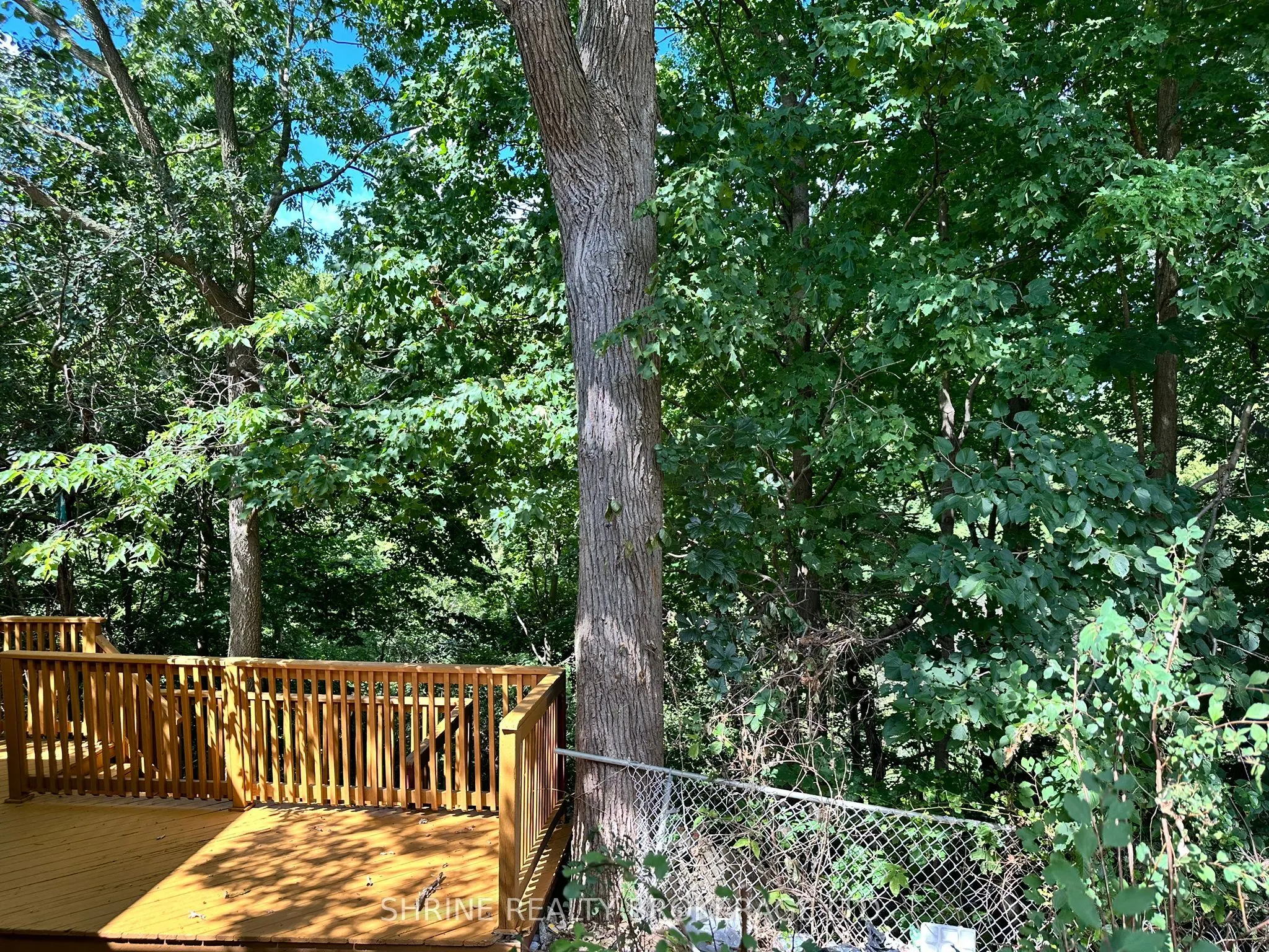 52 Marlborough Avenue, #upper