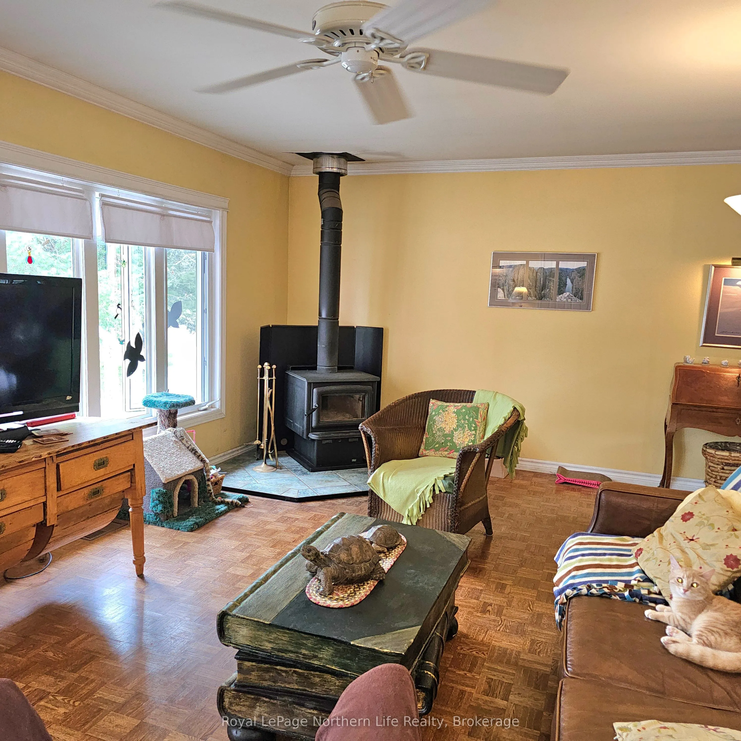 809 CAMERON Road