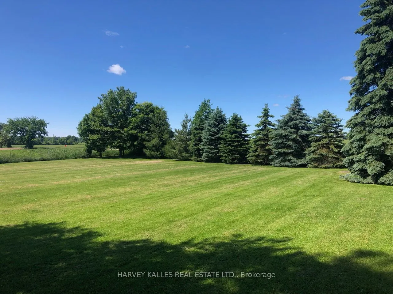 13667 Loyalist Parkway