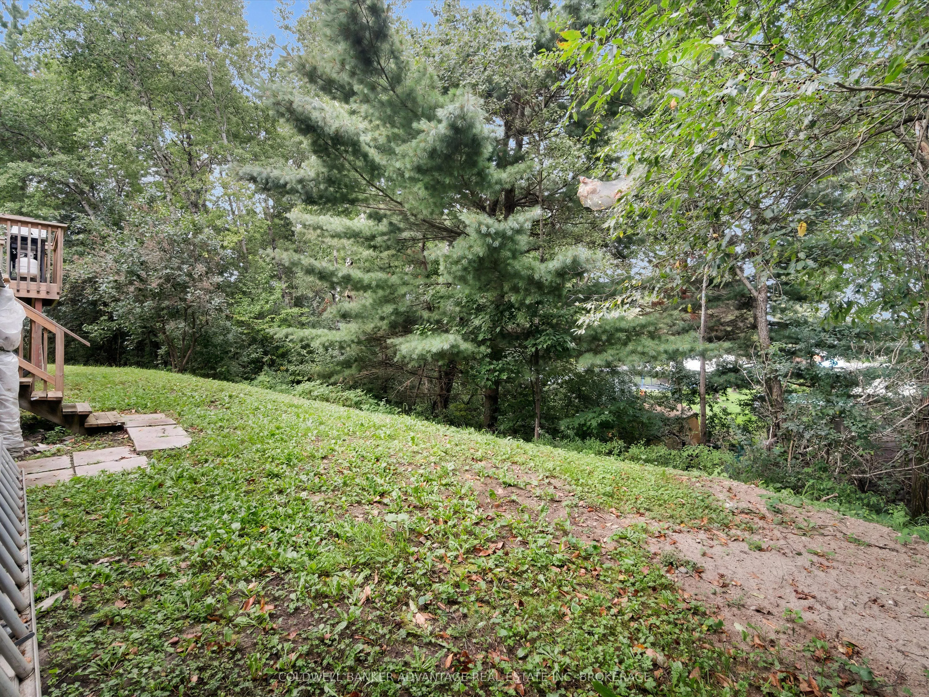 4276 HIGHWAY 520
