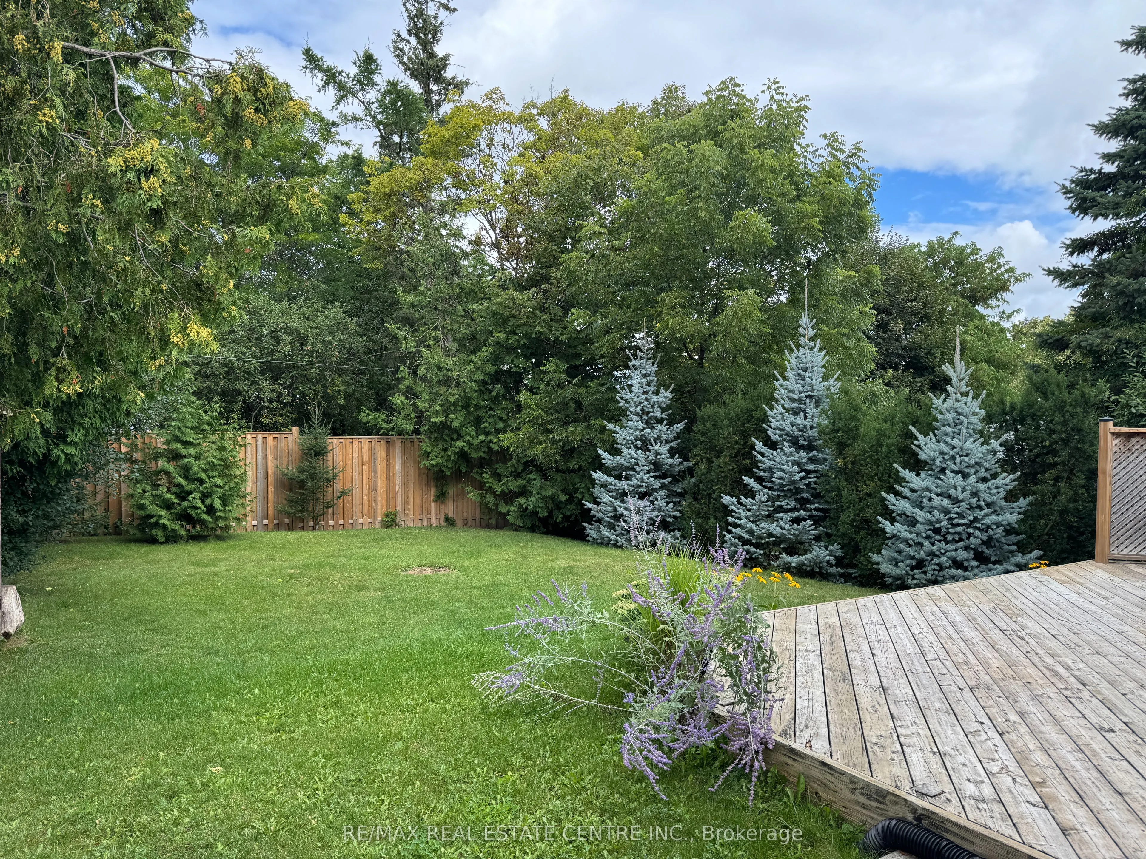 456 Speedvale Avenue E, #Main