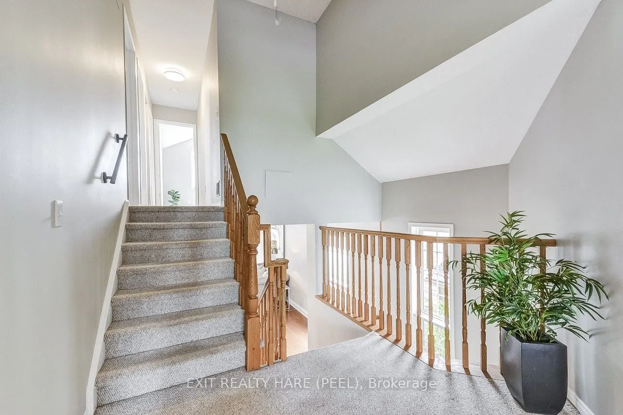 24 O'Connor Lane
