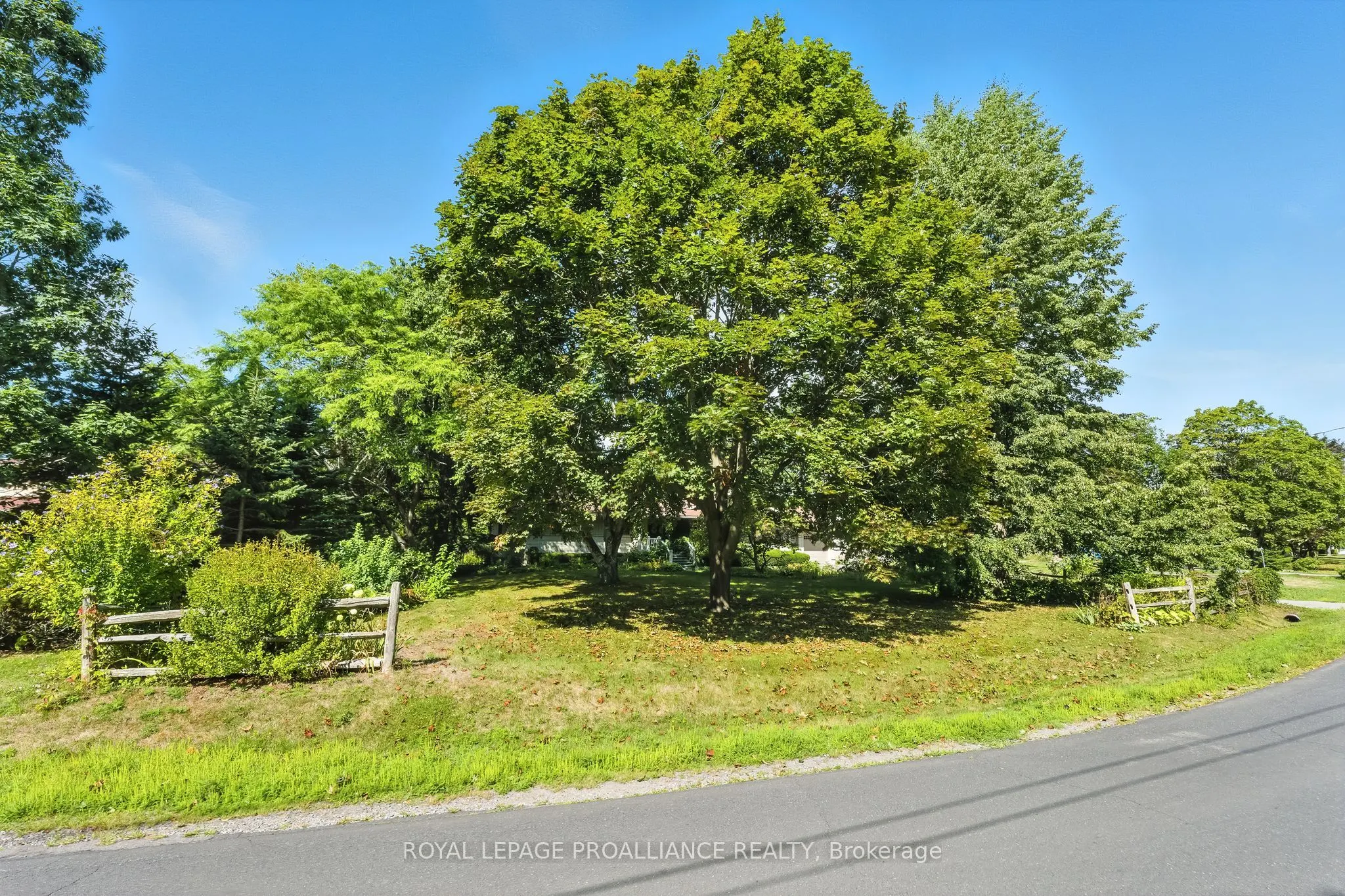 45 Hamilton Avenue