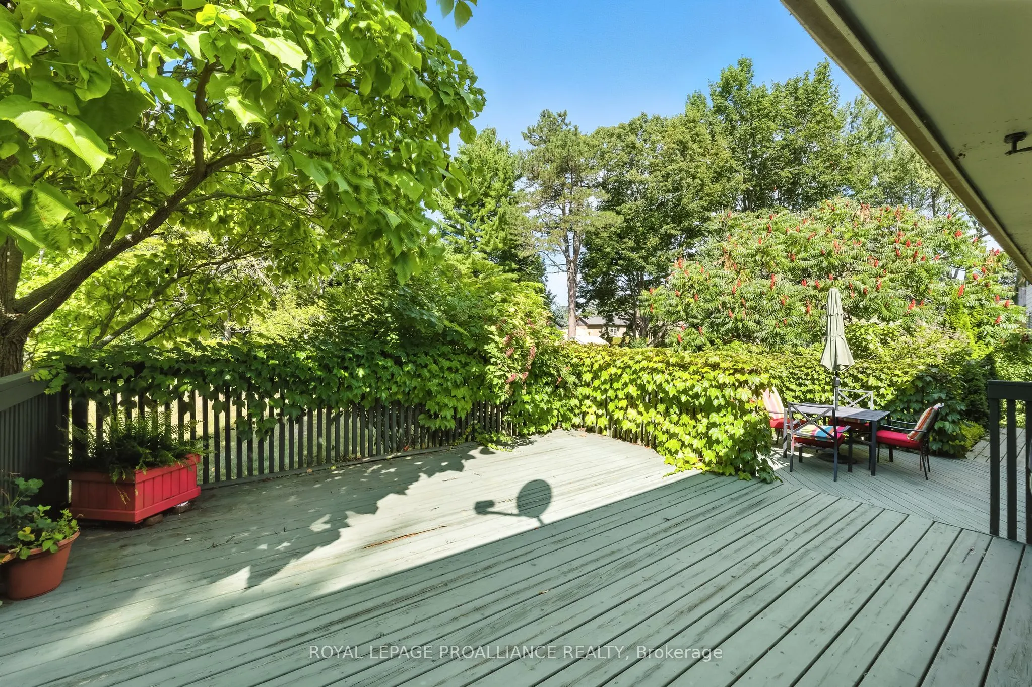45 Hamilton Avenue