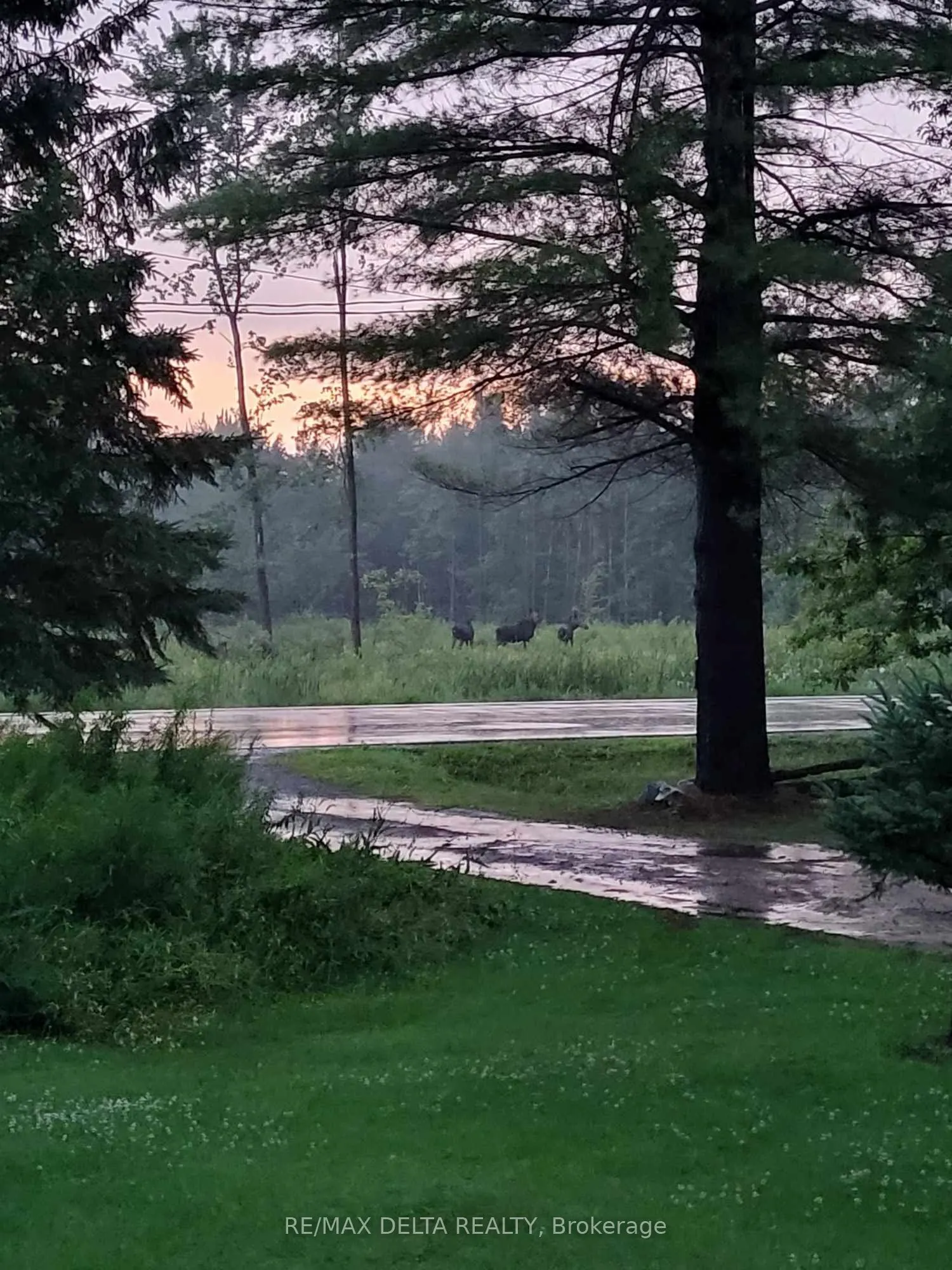 286 County Road 19 Road