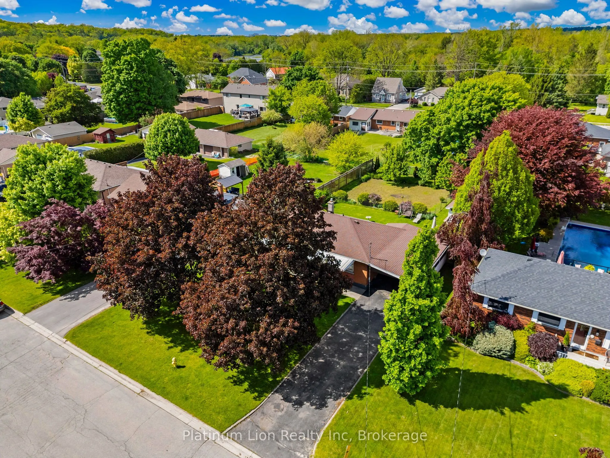 19 Kinnard Road