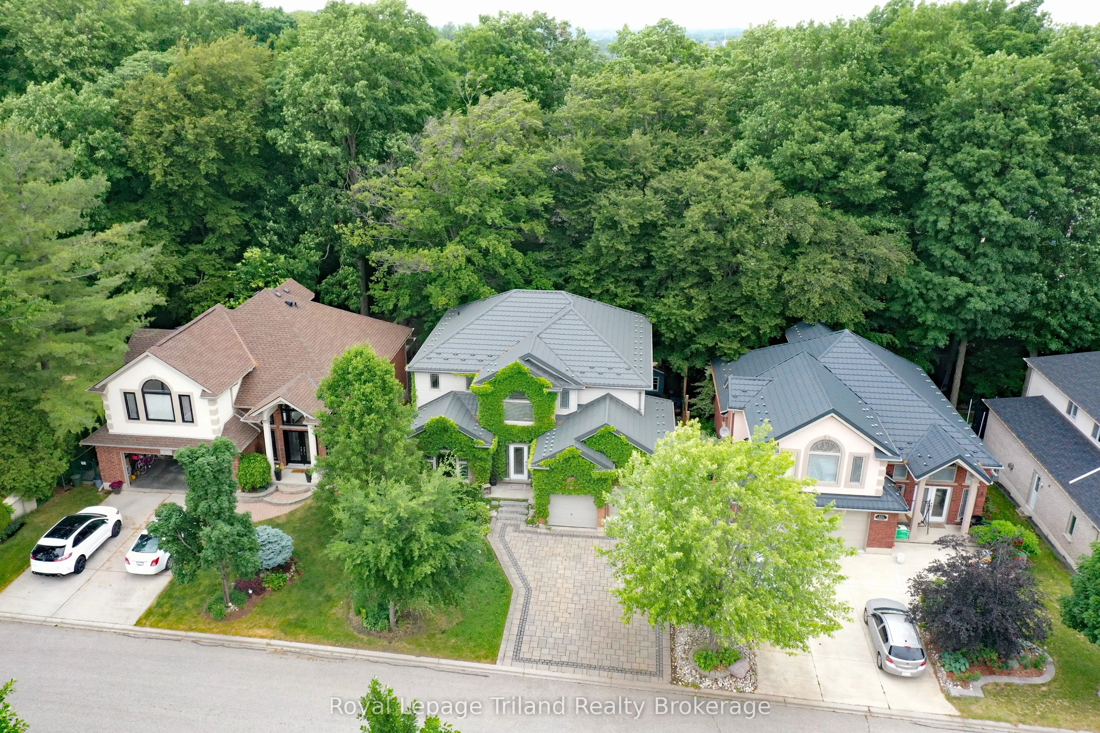 107 Forestway Trail